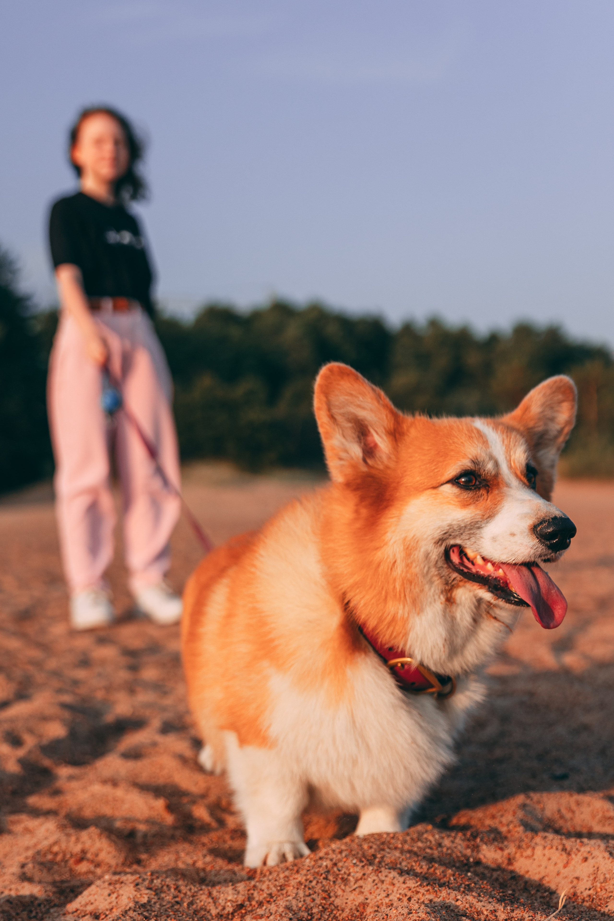 Семья Оли, Сестрорецк. Семейный фотограф в Санкт-Петербурге Алиса Мохова