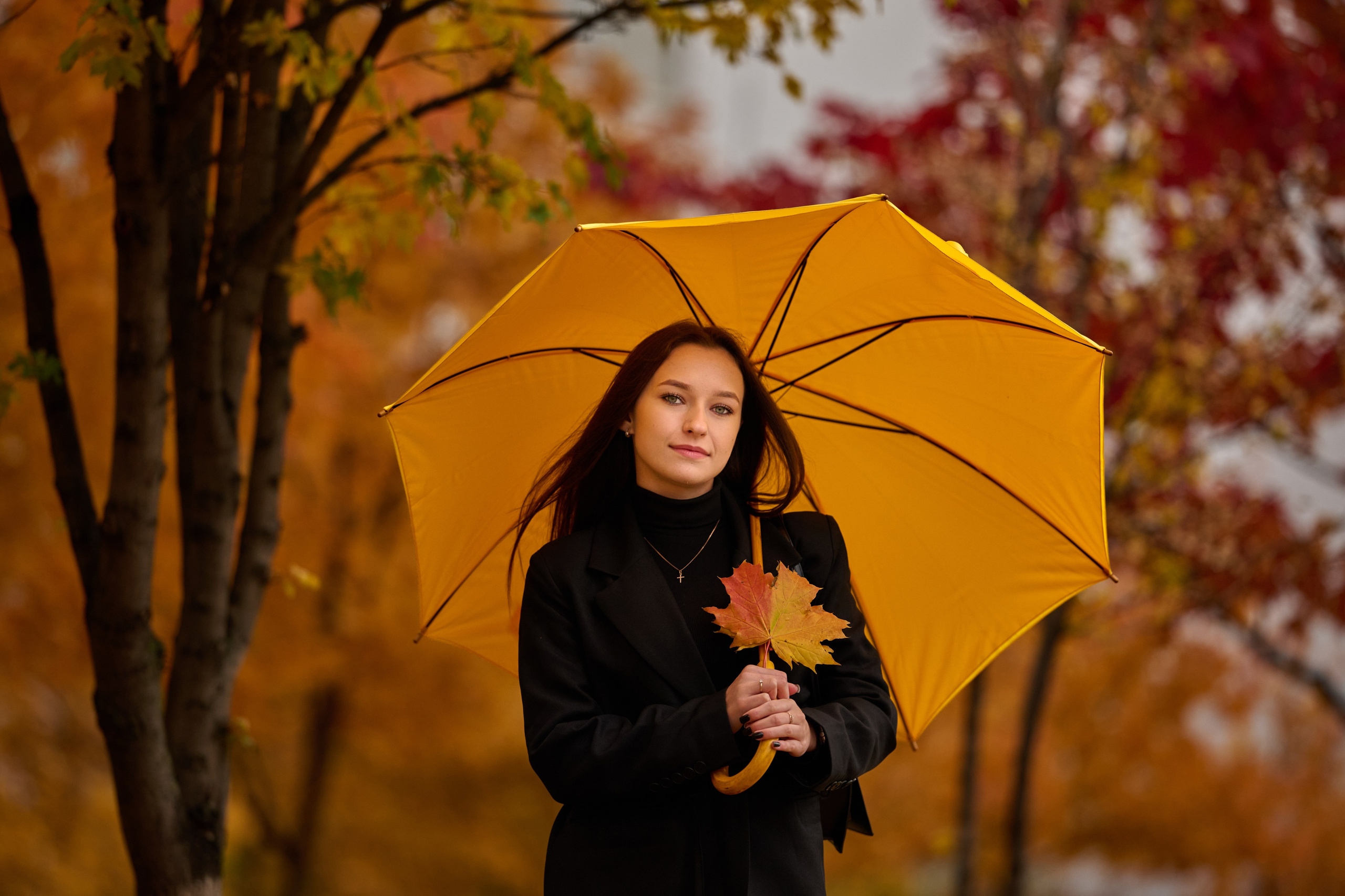 Золотая осень в Старом Осколе