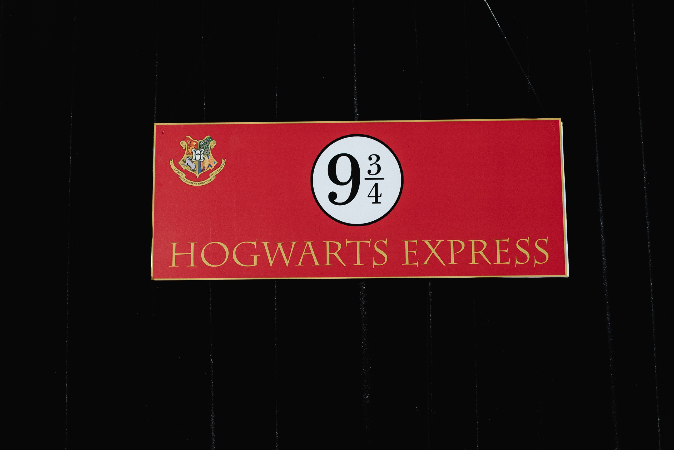 Harry Potter birthday. Свадебный и портретный фотограф Казань/Москва/СПБ Елькина Юлия