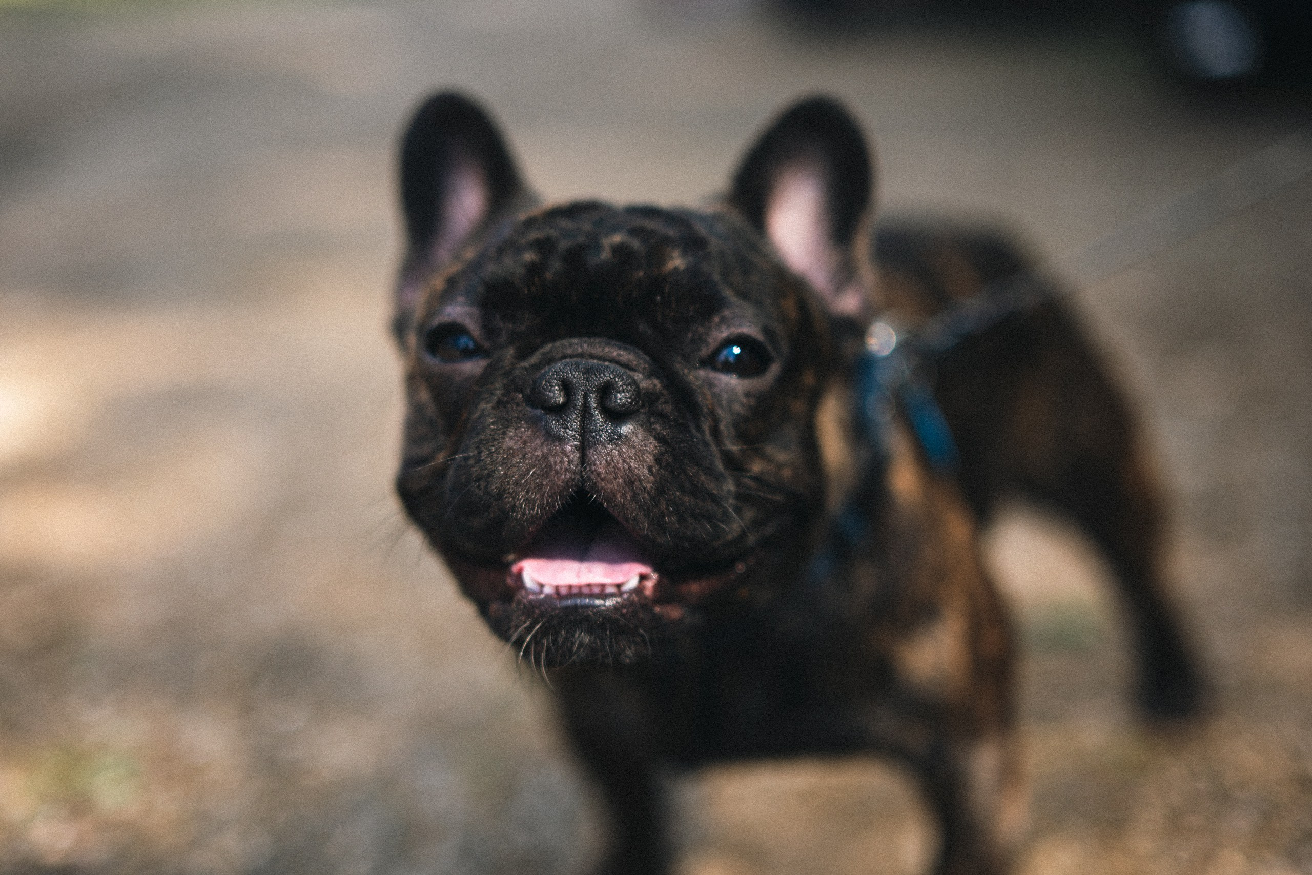 АВТОМОБИЛИ — МЕРОПРИЯТИЯ. Фотограф в Москве — Олег Штыканов