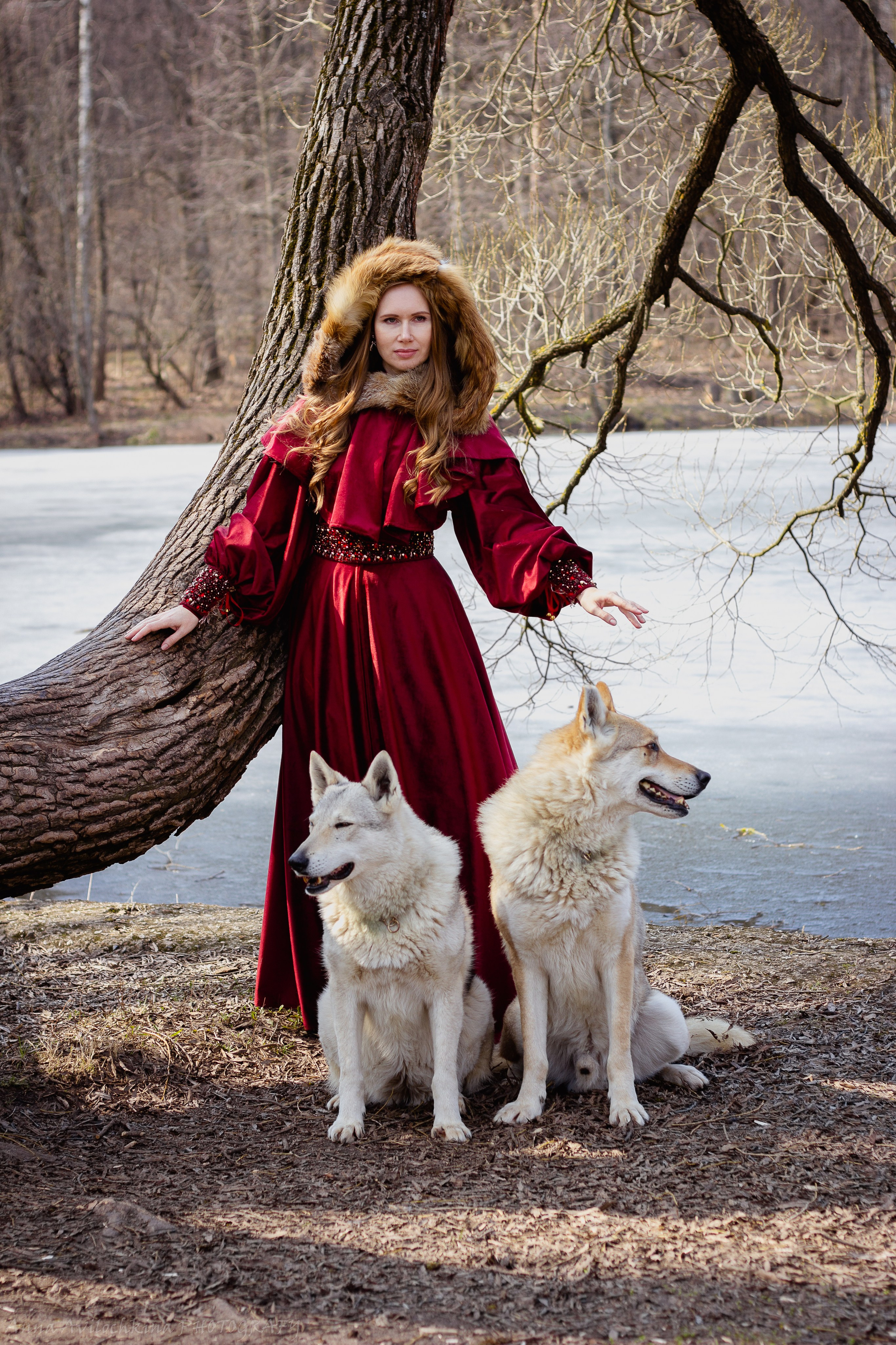 Фотосессия с животными. Семейный и свадебный фотограф в Москве и Домодедово Анна Авилочкина