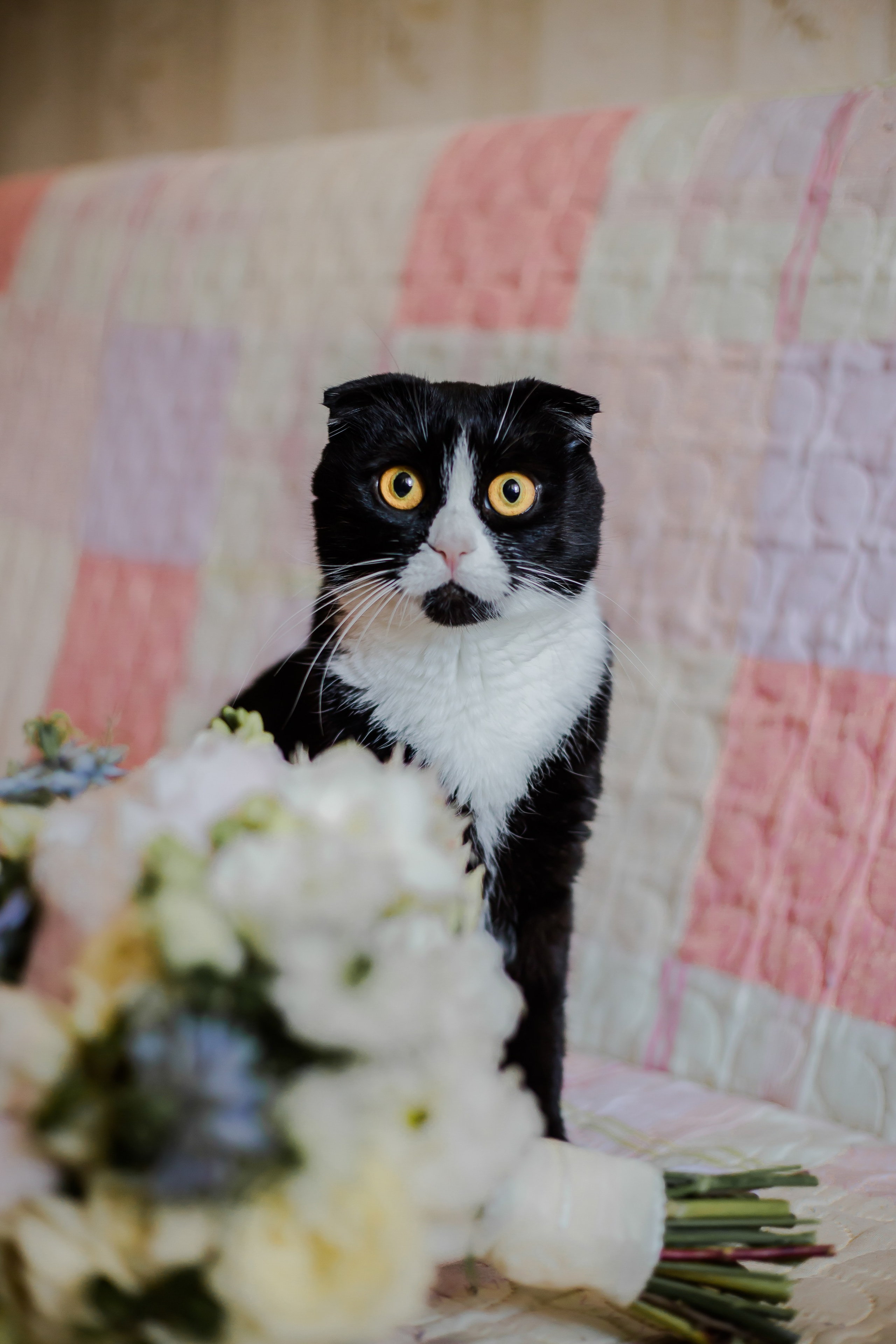 Свадьбы — Анна и Иван. Свадебный и семейный фотограф в Санкт-Петербурге Макеева Наталья