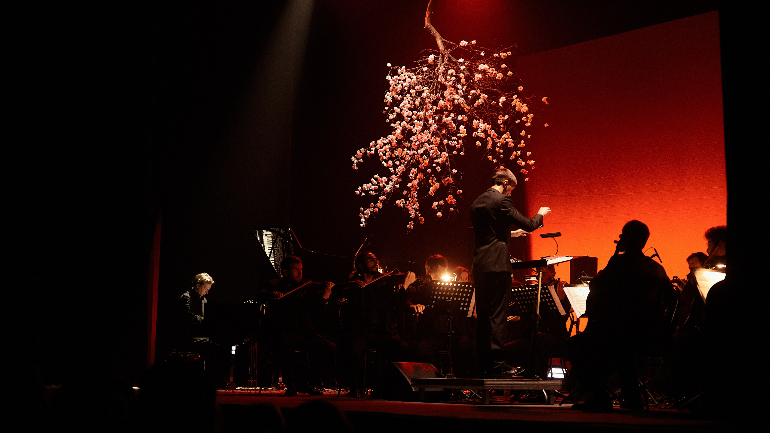 Никола Мельников / 2024. OOPS