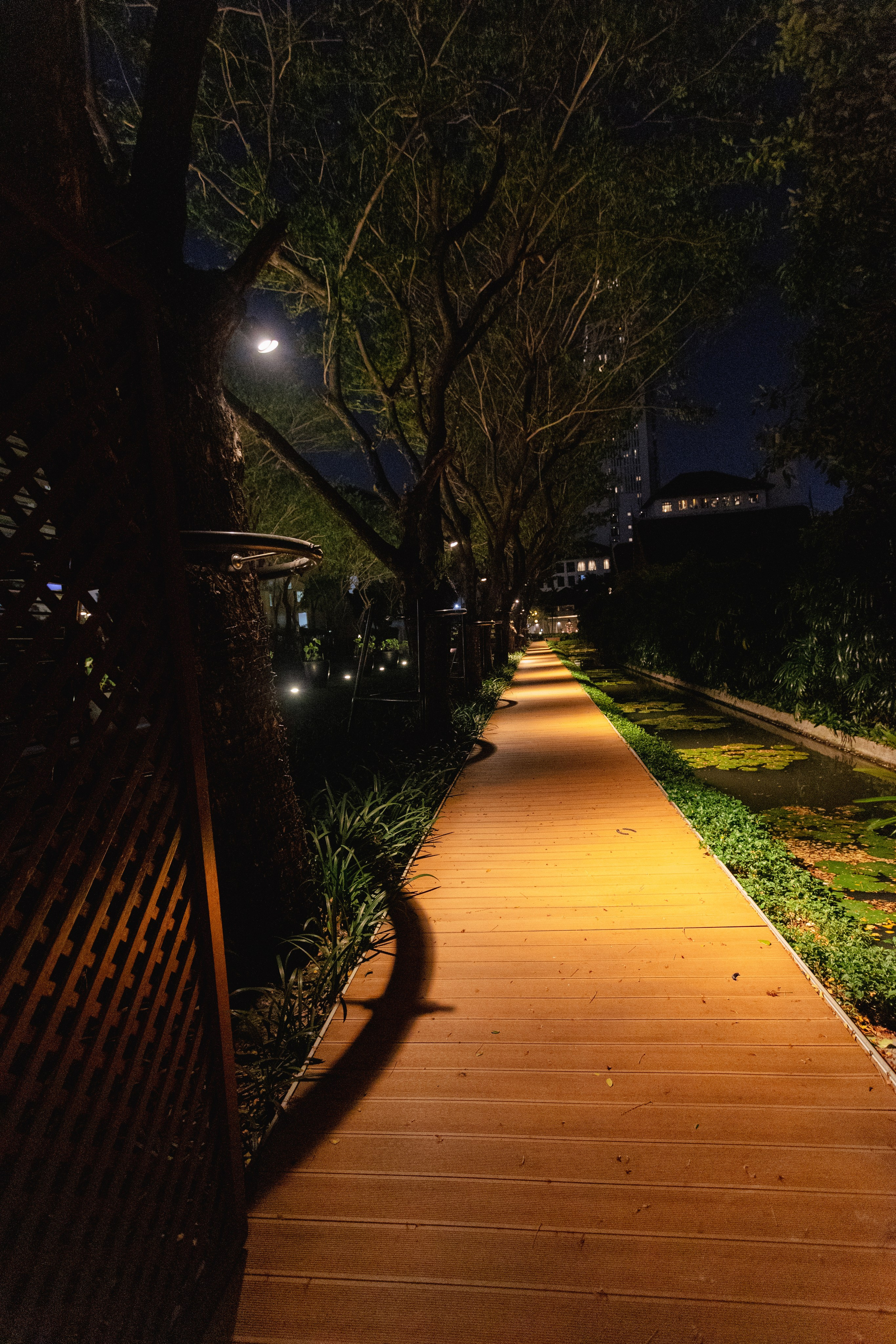 Bangkok. Фотограф Сонкина Татьяна