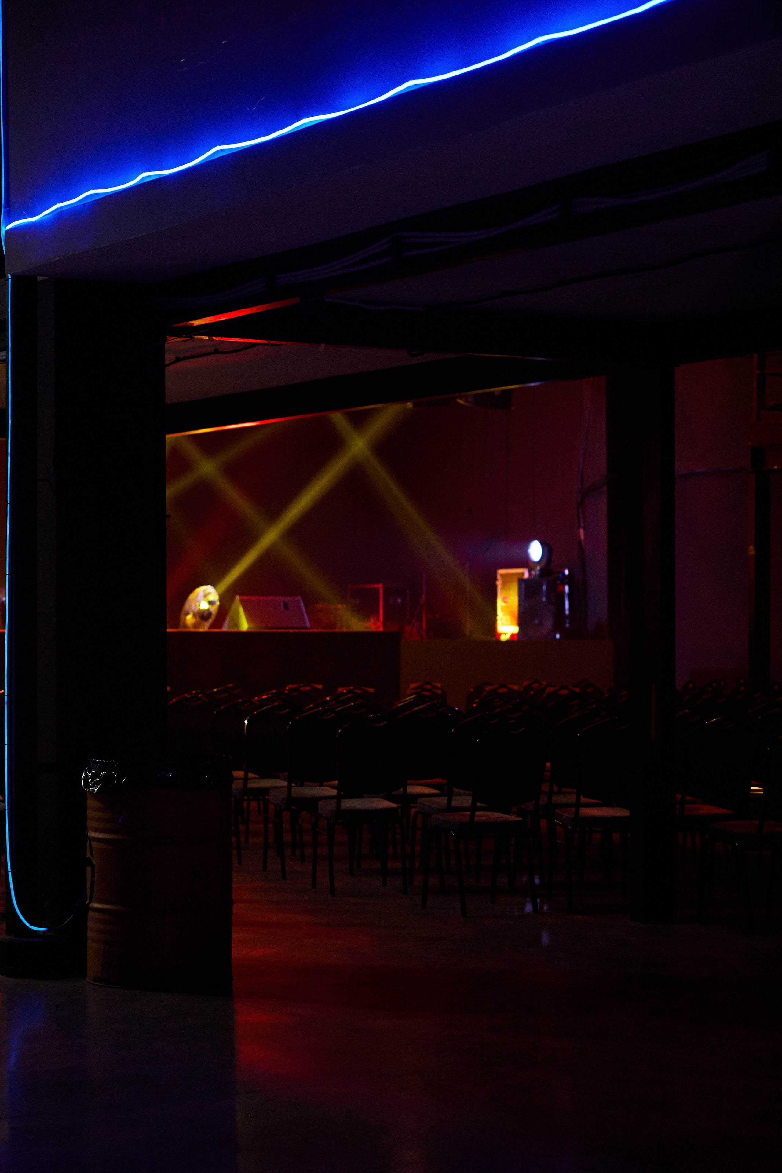 КОЧКА. Фотограф Айвазова Наталья Краснодар