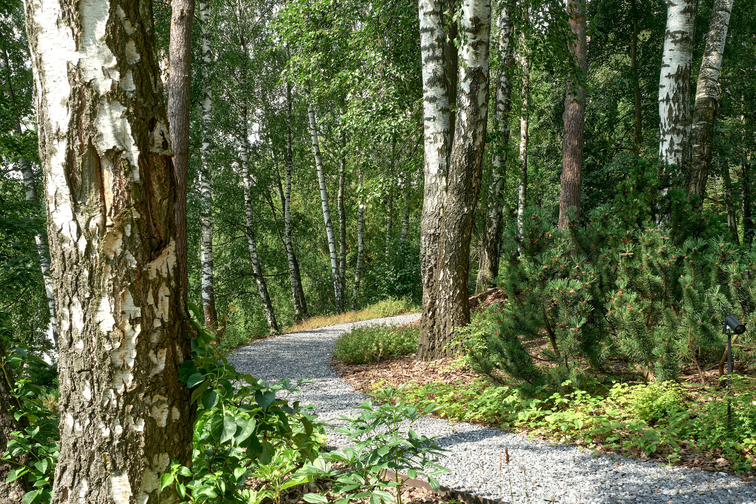 Фотограф Наталья Соловьева. Съемка реализованного проекта Level Up для L.BURO | interioto