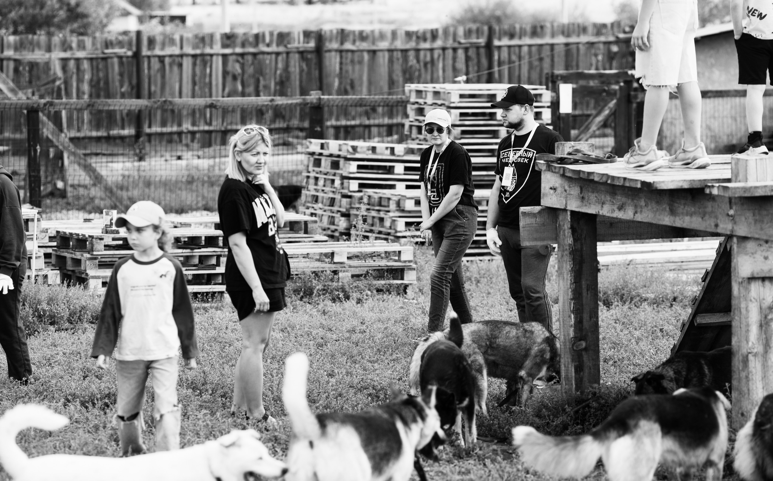 Приют — Наш дом. Репортажный и свадебный фотограф в Челябинске Елисеев Павел