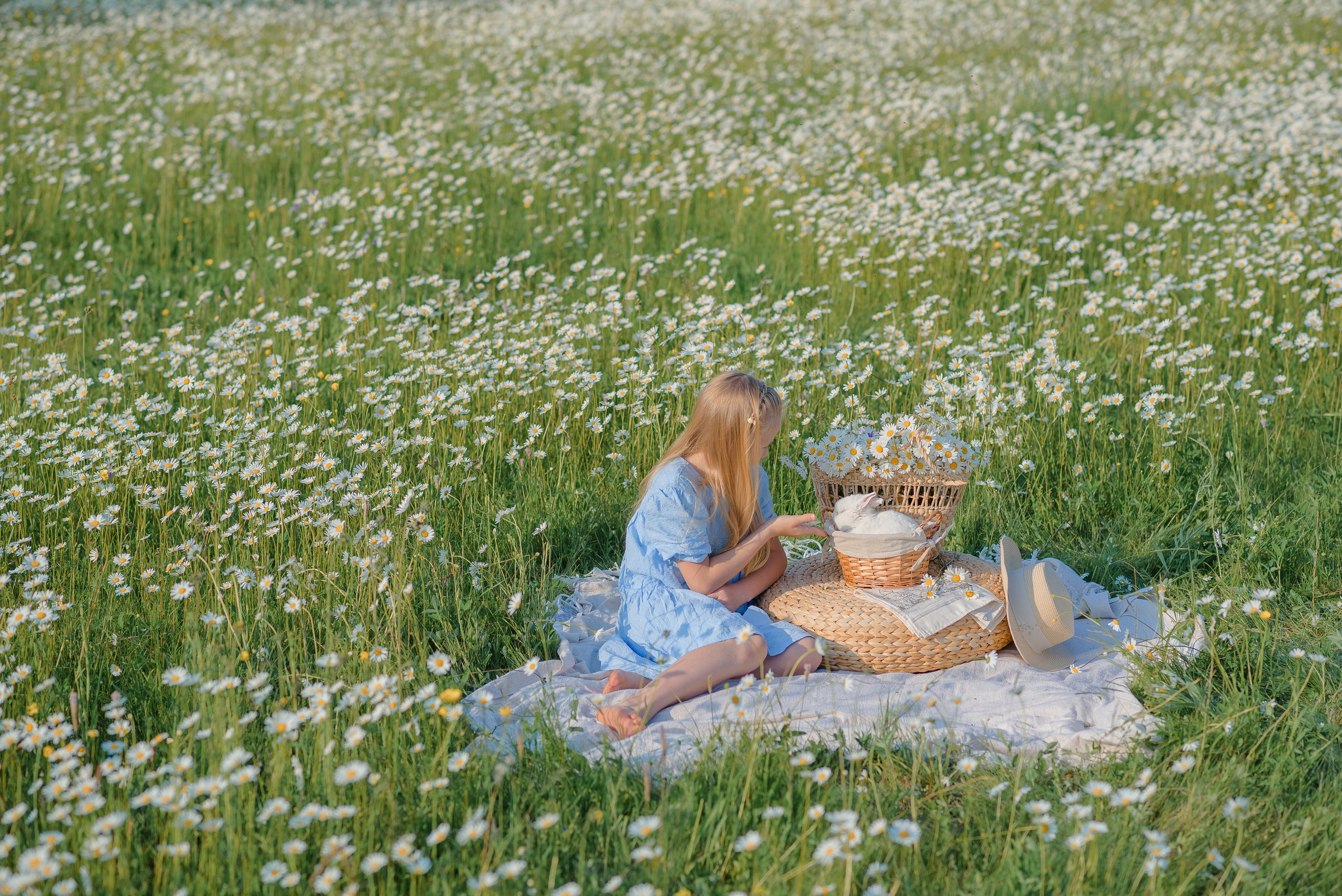 Ромашковое поле. Семейный фотограф в Рязани Мария Ермакова
