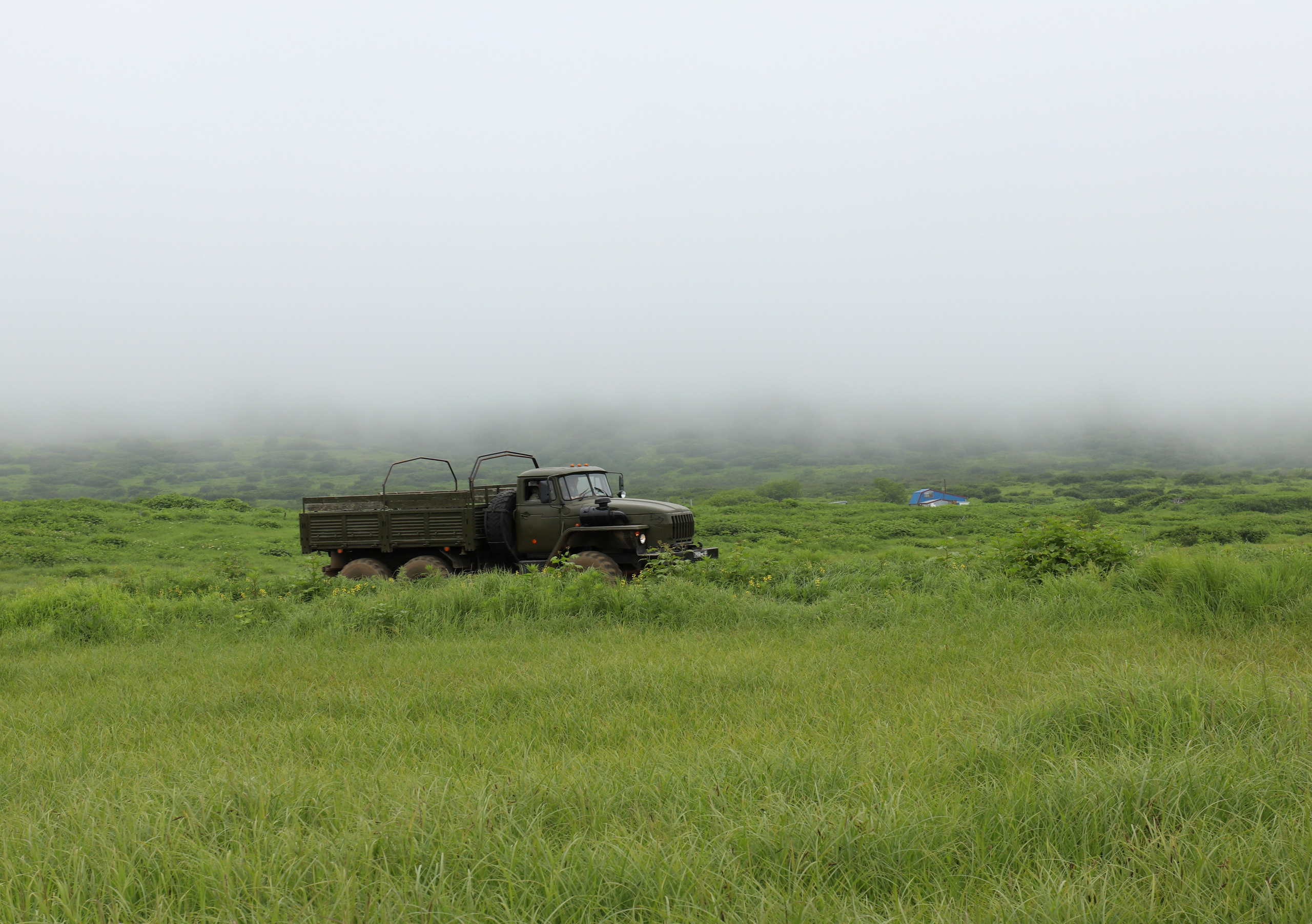 Камчатка и о. Парамушир. Июль 2024. Путешественник-фотограф из Санкт-Петербурга Татьяна Свистулина