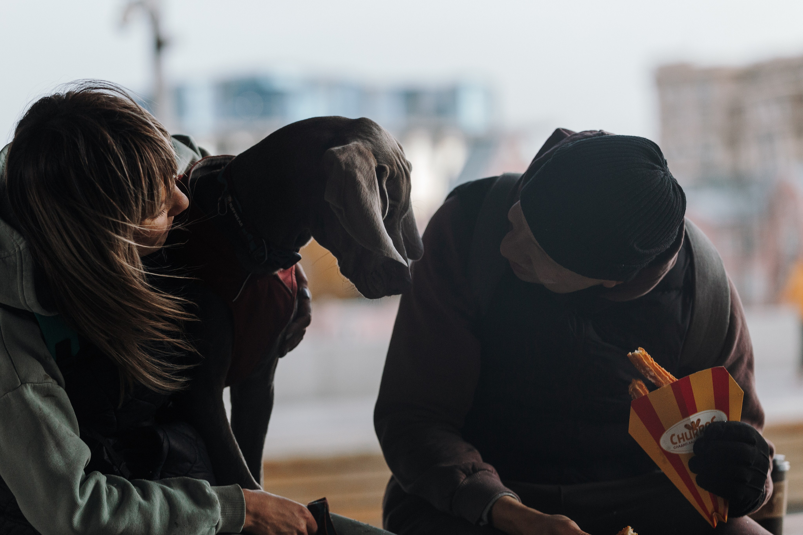 Оля, Саша и Бастиан. Фотограф анималист Кристина Карпова, Москва