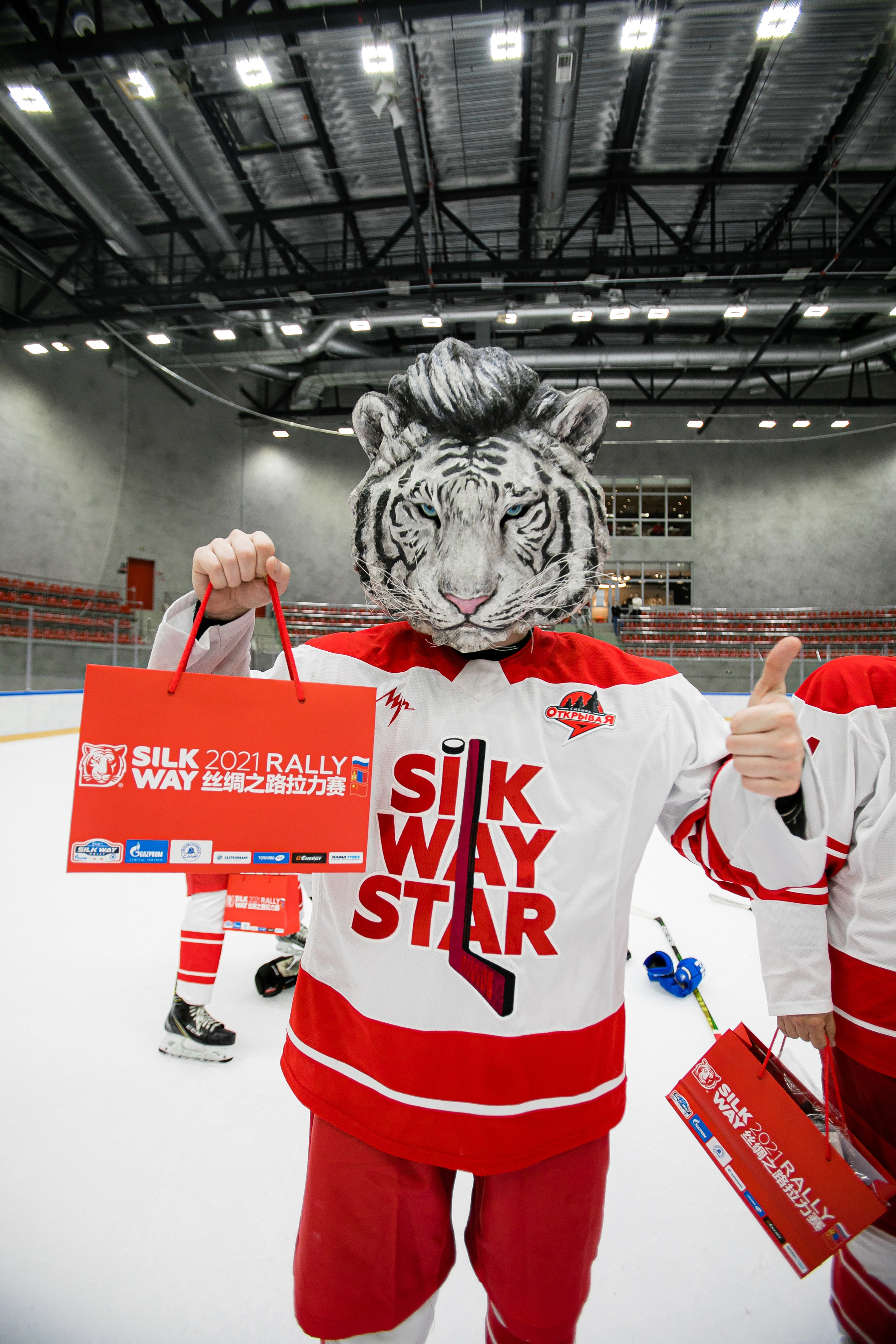 SW HOCKEY LEAGUE. Портфолио