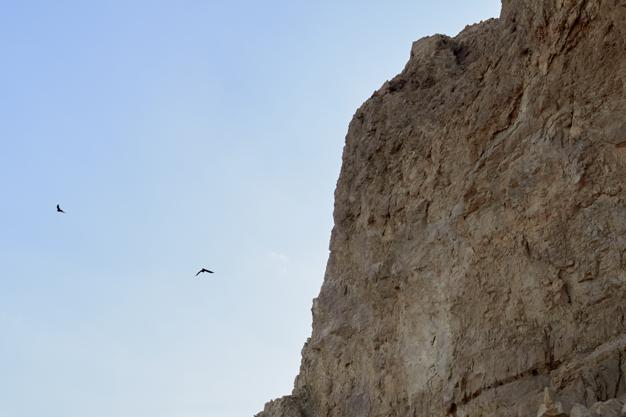Фотографии Иудейской пустыни | Филипп Линзин. Репортажный и портретный фотограф в Санкт-Петербурге Филипп Линзин