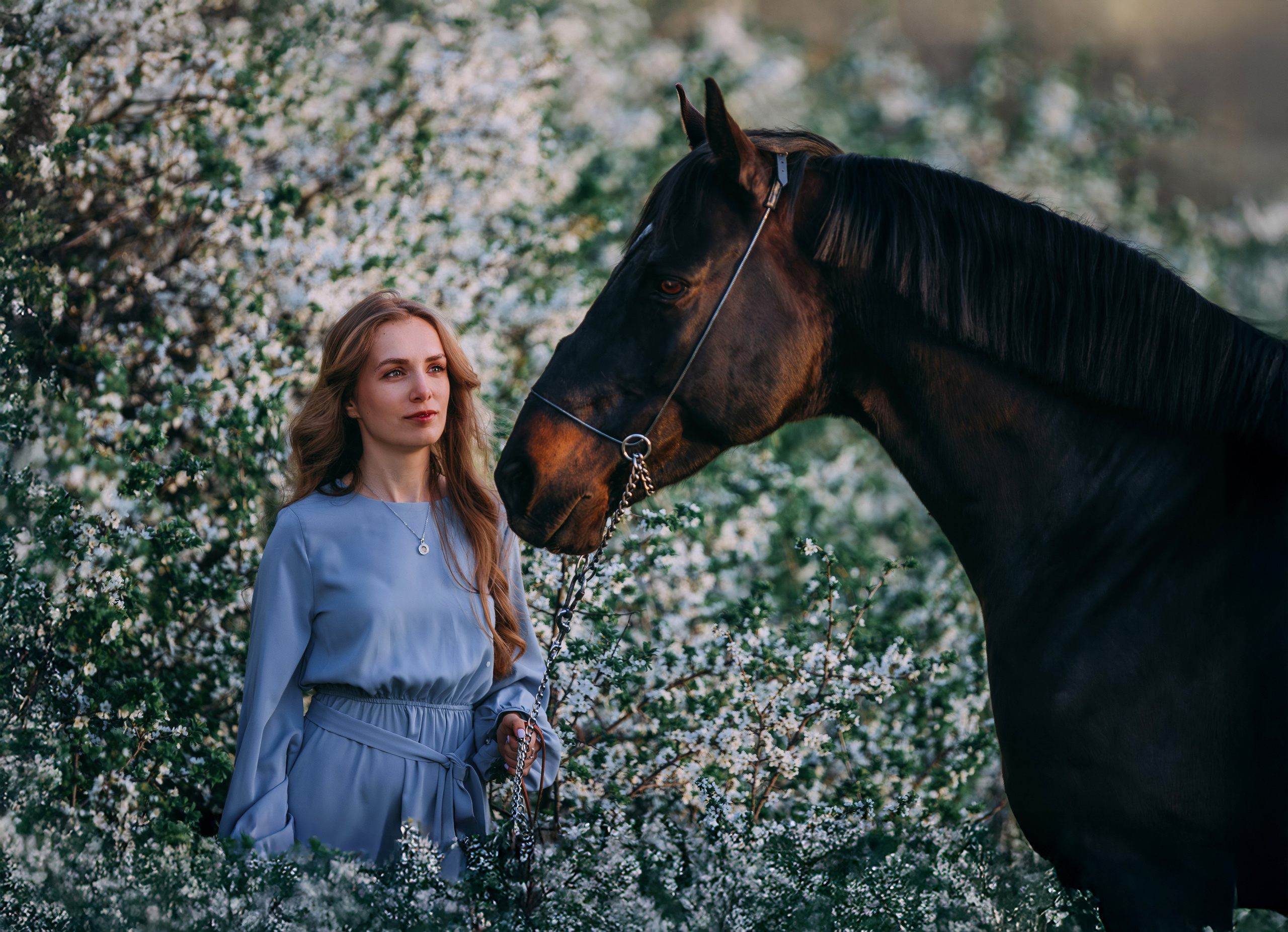 Вероника и Брэй. Фотограф-анималист Ксендзова Кристина