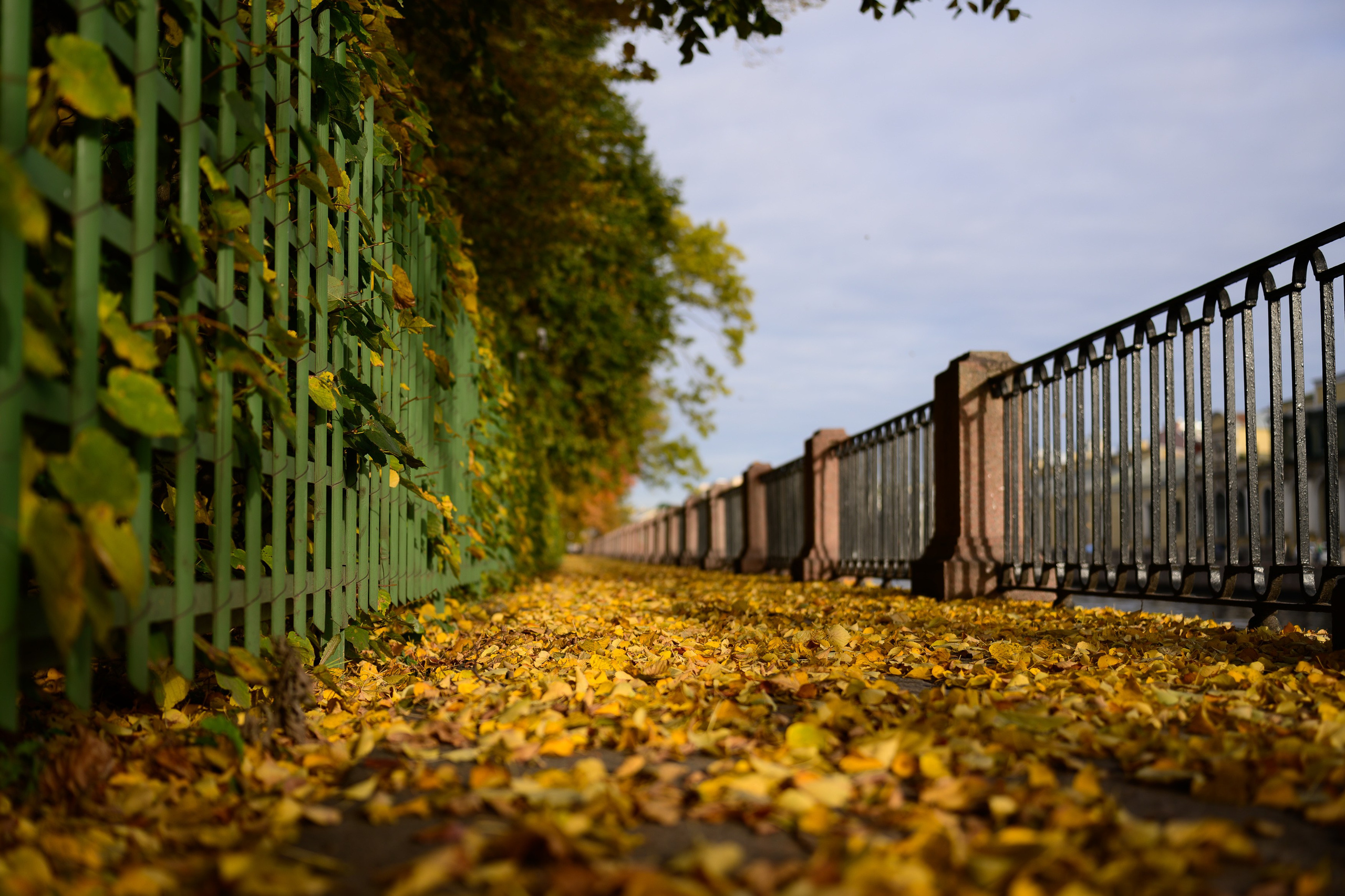 SAINT PETERSBURG. Personal website of photographer Dmitry Raikin