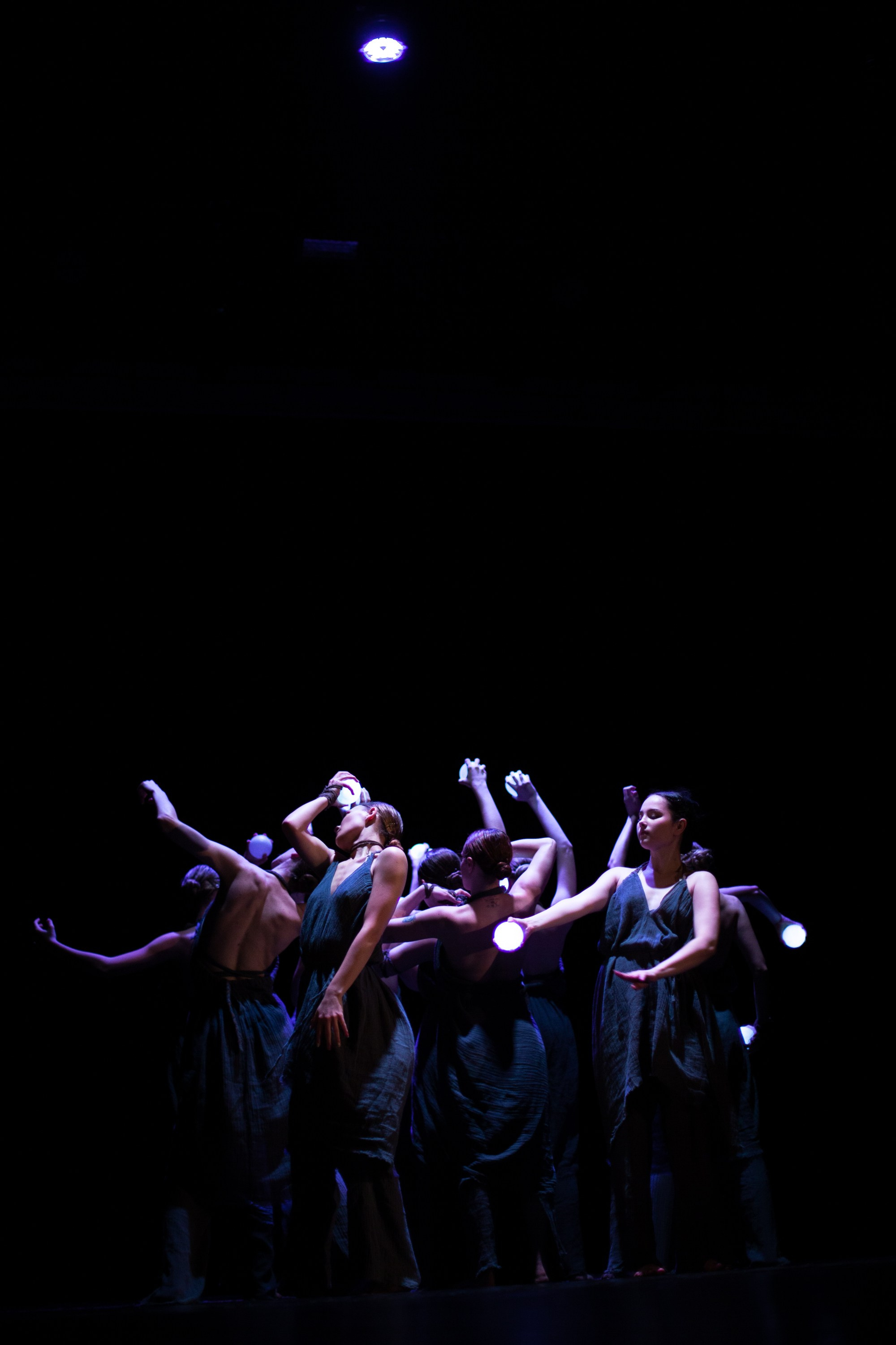 Концерты. Виолетта Скрипка