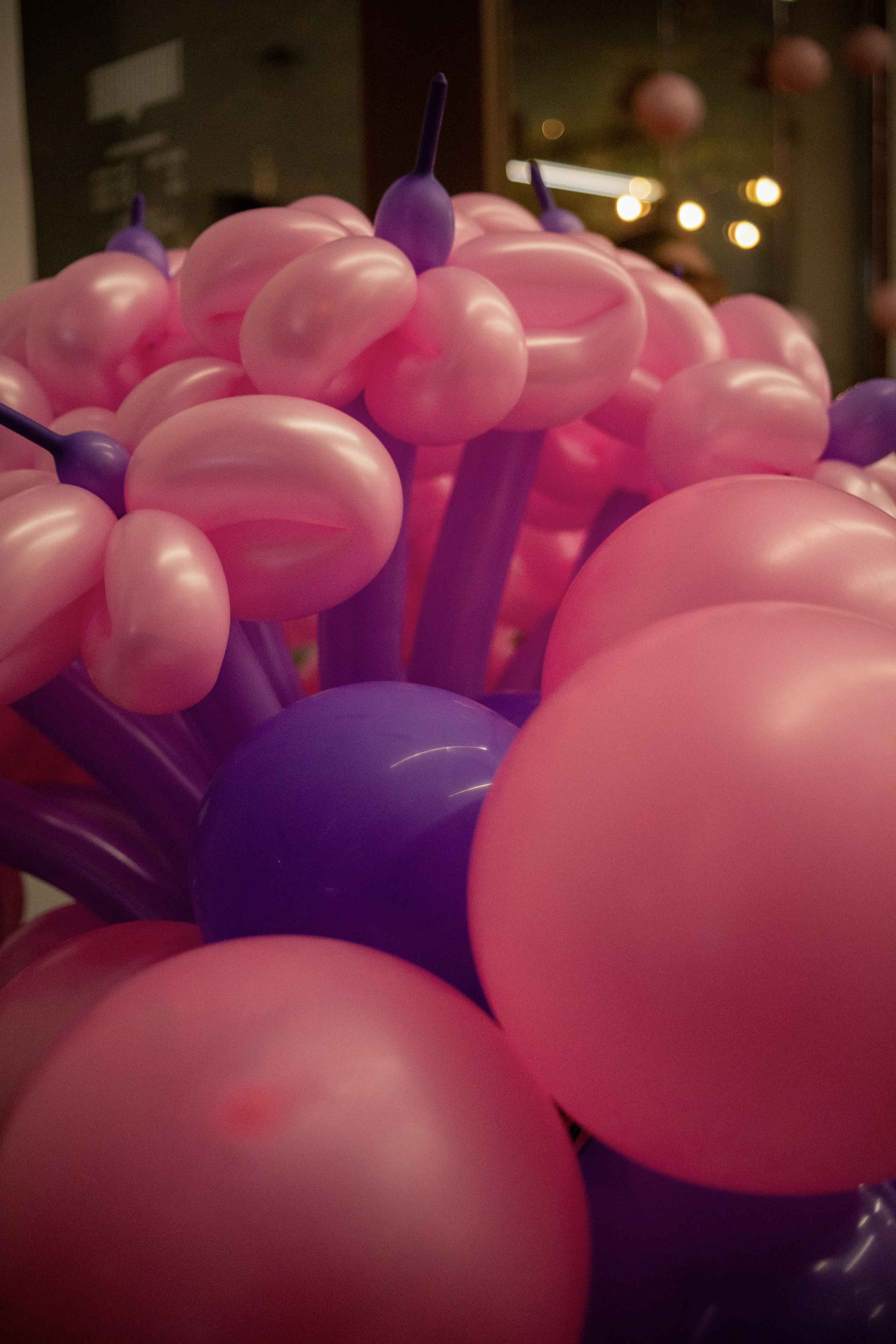 Opening of a massage salon. Magic photos