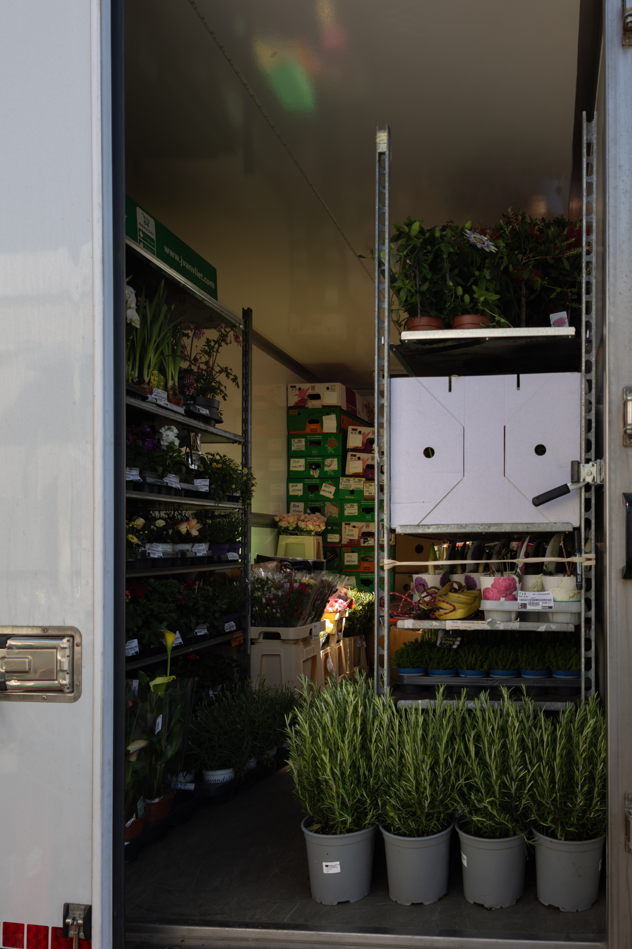 Flower warehouse. Фотограф Дарья Карпенко