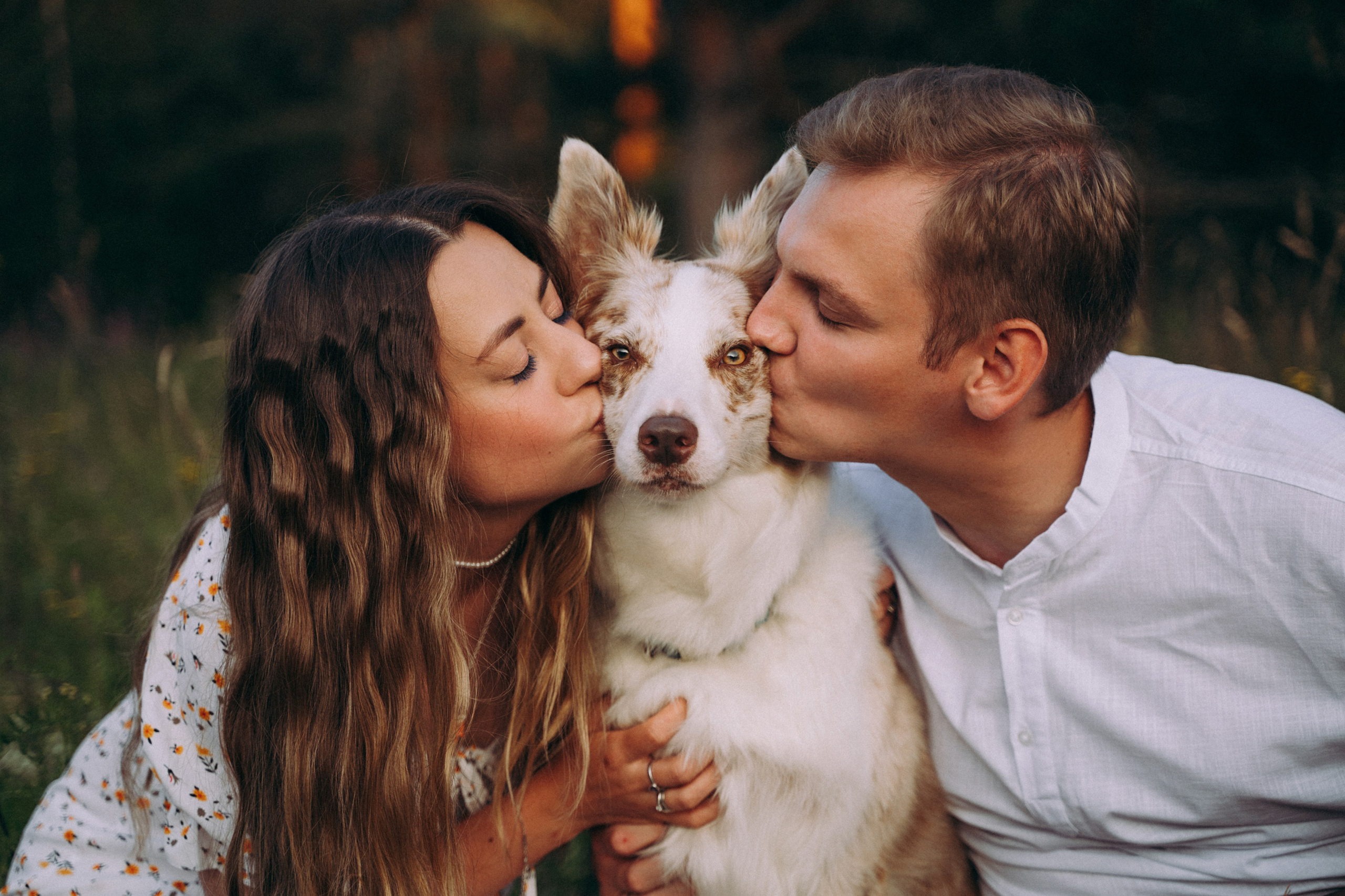 Хвостики. Главная