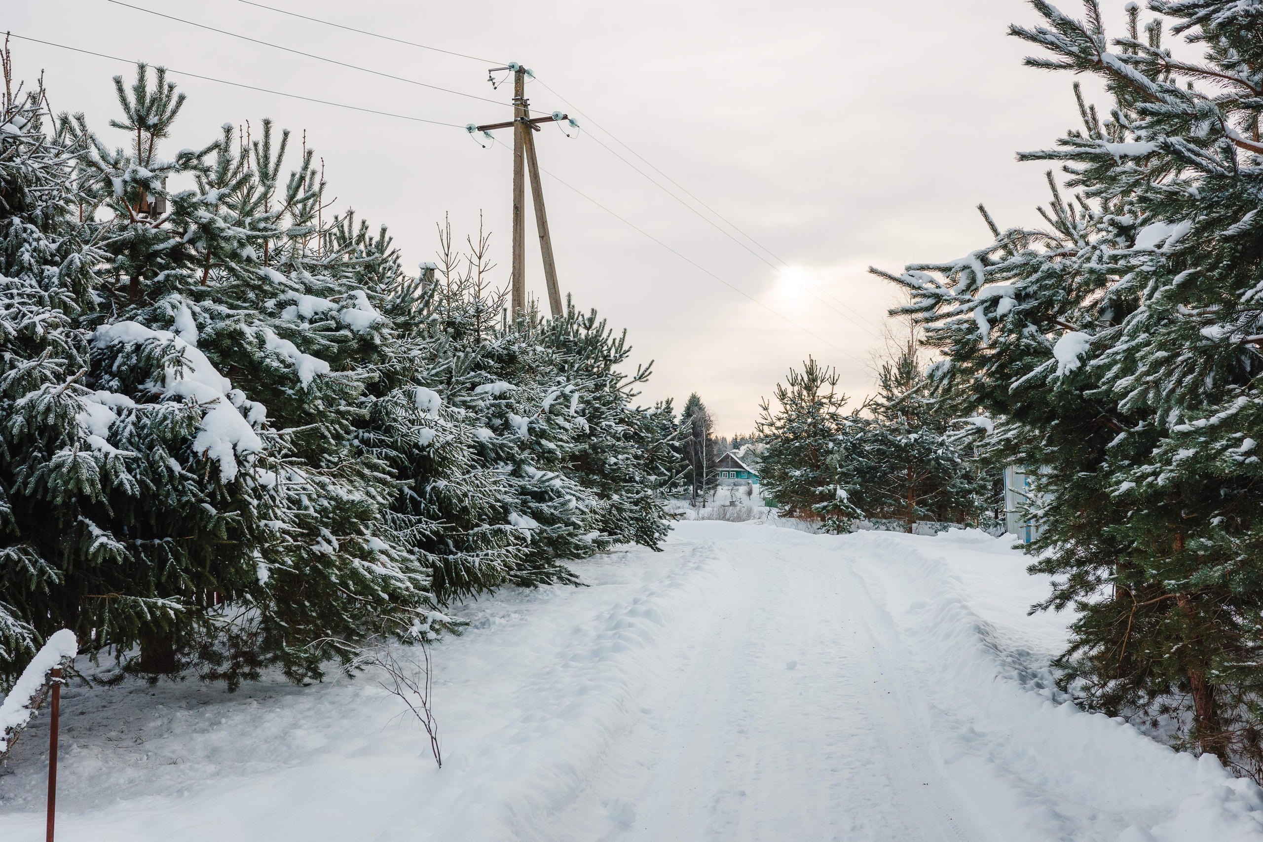 2024.01. Фотограф Алексей Алексеев