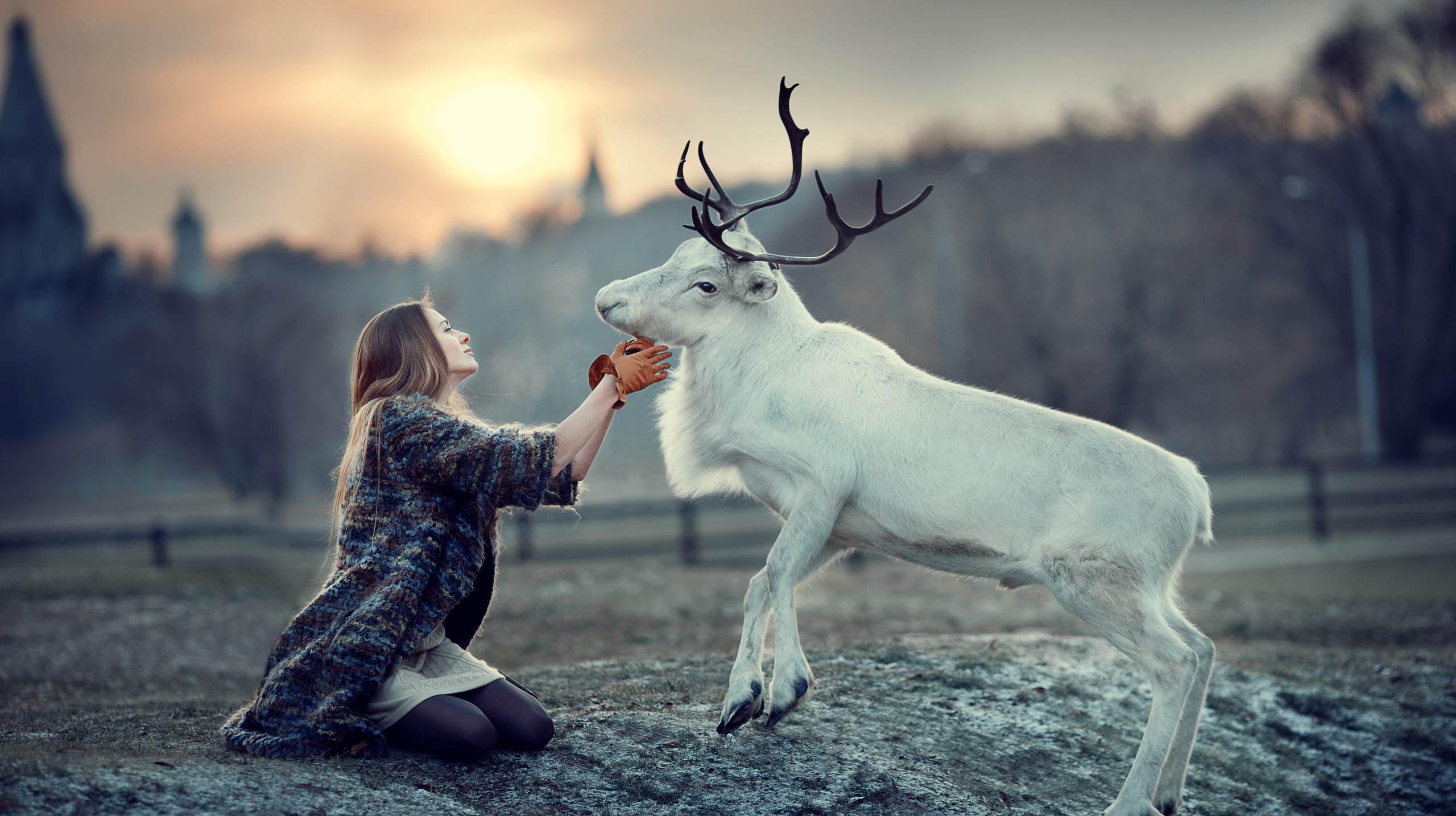 Портфолио. Карнеева Елена. Детский, семейный фотограф