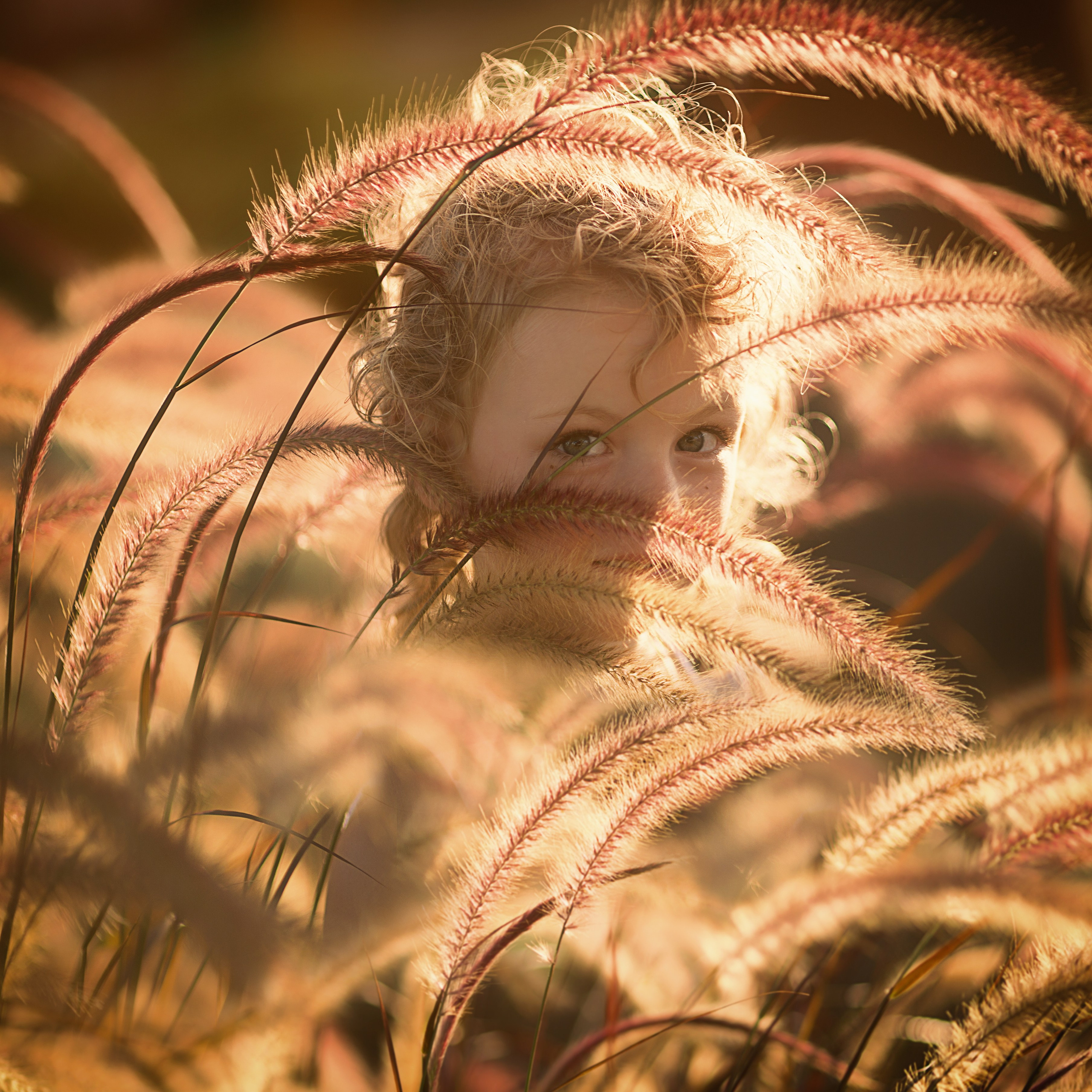 Карнеева Елена. Детский, семейный фотограф