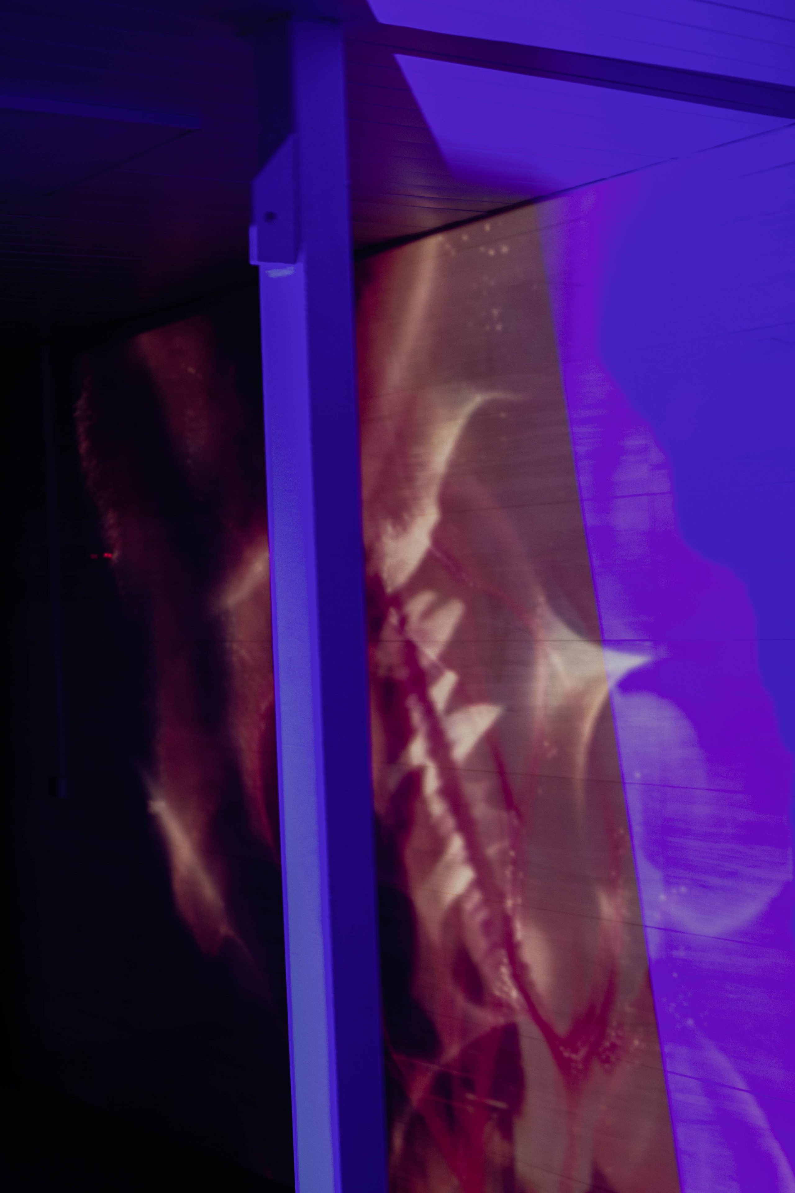 VI Межвузовский Хакатон DigitalArt.EACA