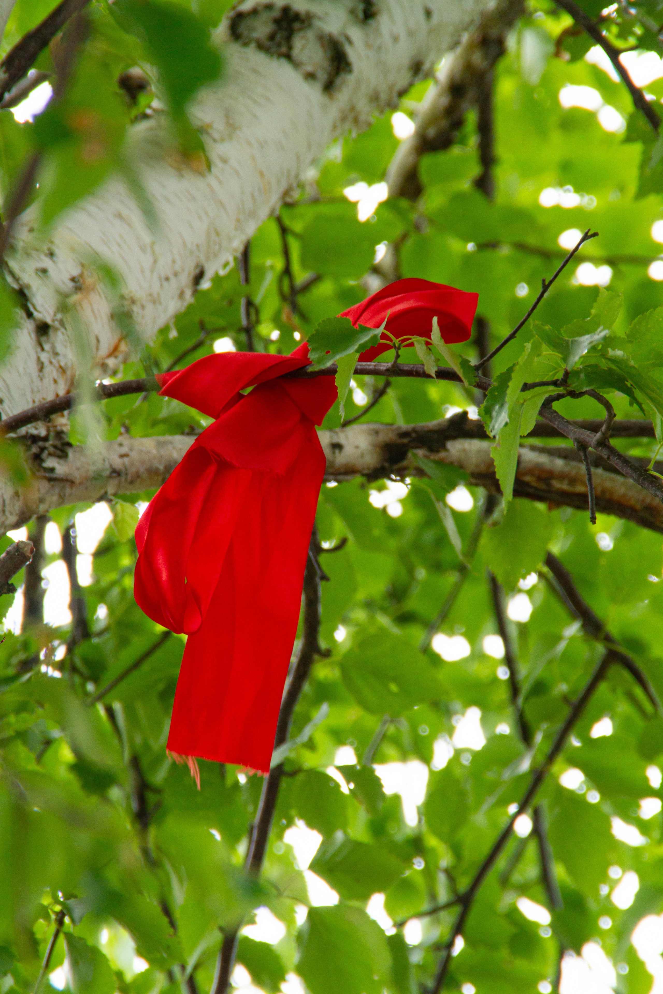 Праздник Солнцестояния 2025 х Культура Екатеринбурга