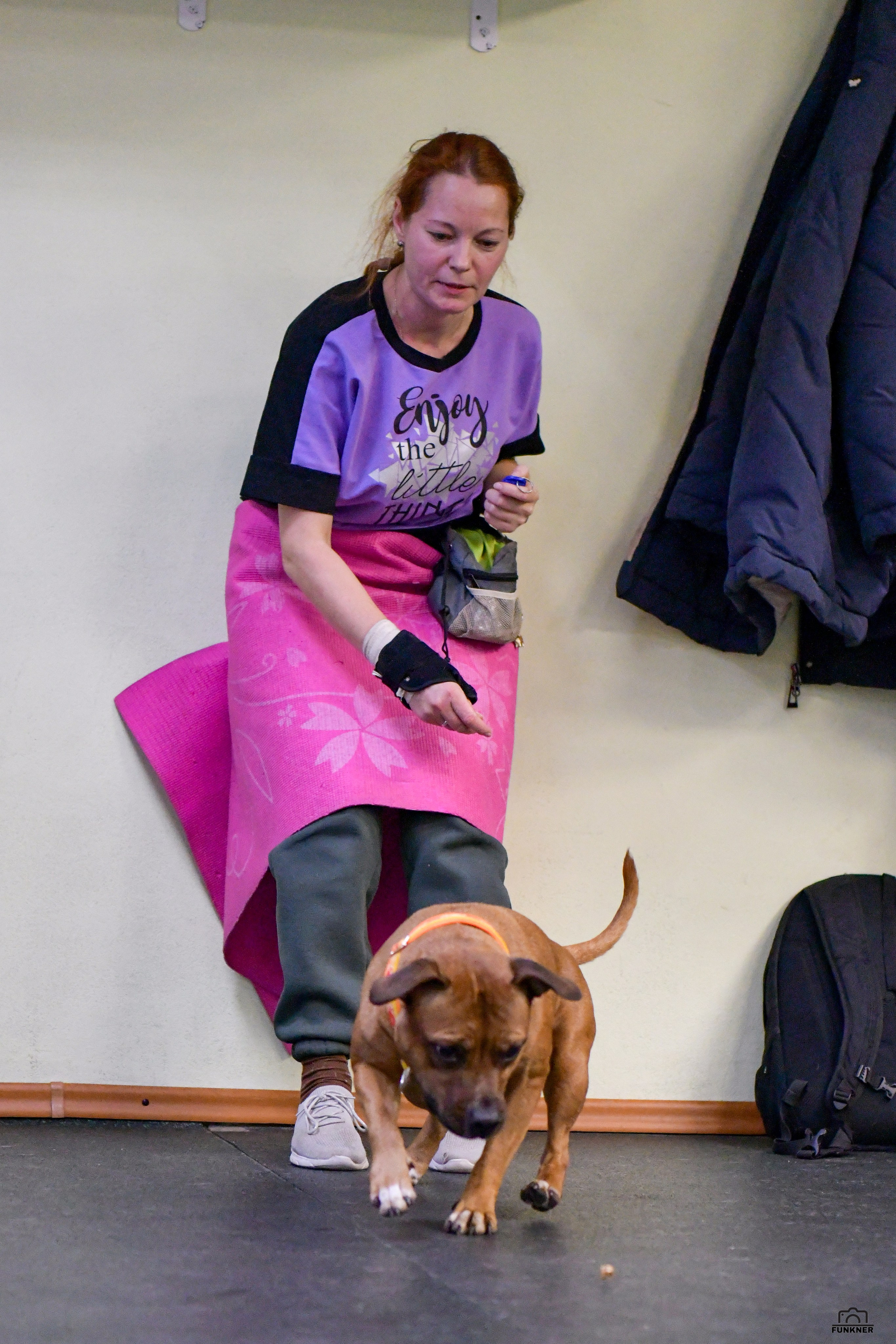 Кинологический клуб «Бодрый хвост». Свой взгляд через объектив