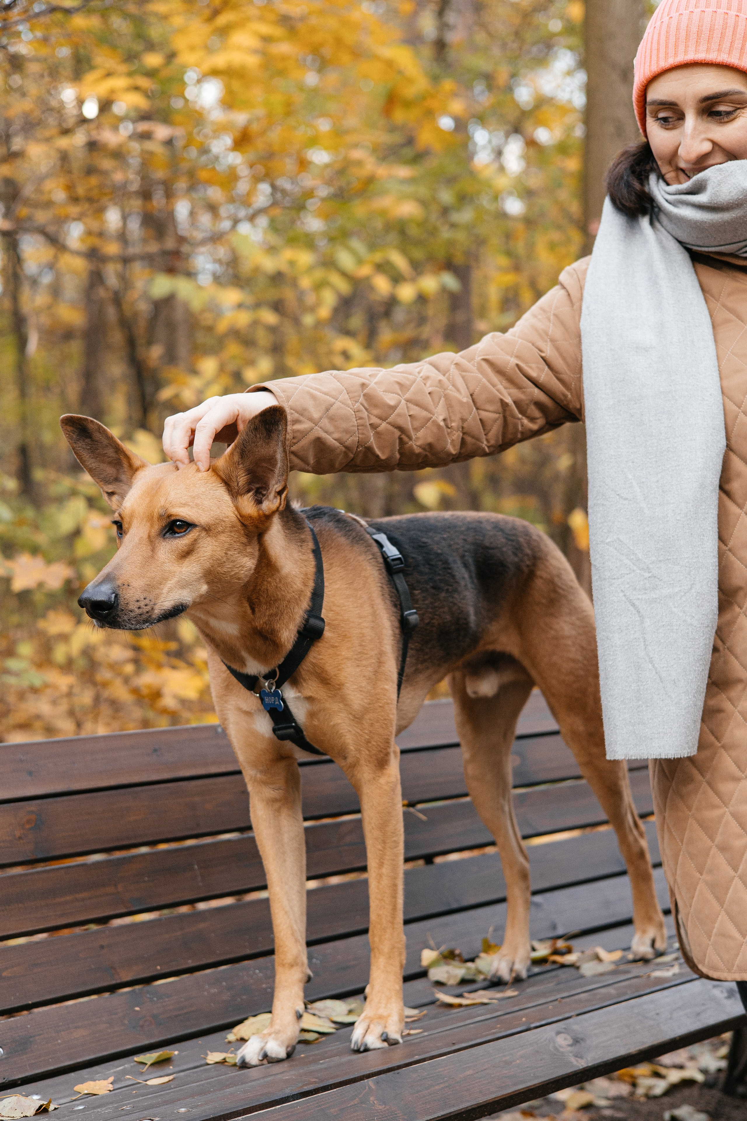 Нелли, Лёша, Рэй и Норд. Фотограф Анна Луценко Москва
