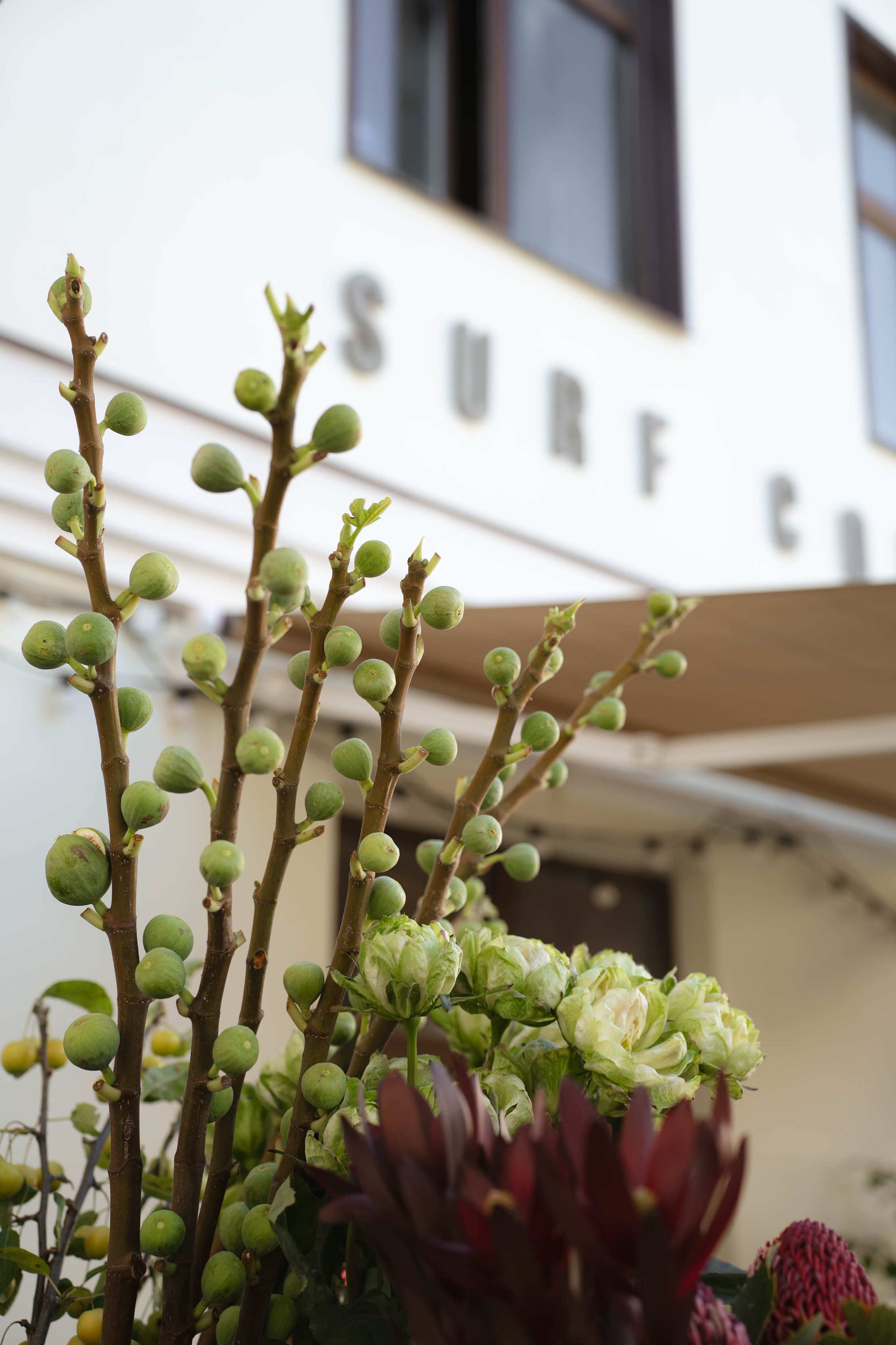 MIN SIN x Surf Coffee. Репортажный фотограф в Казани Виктория Трунова