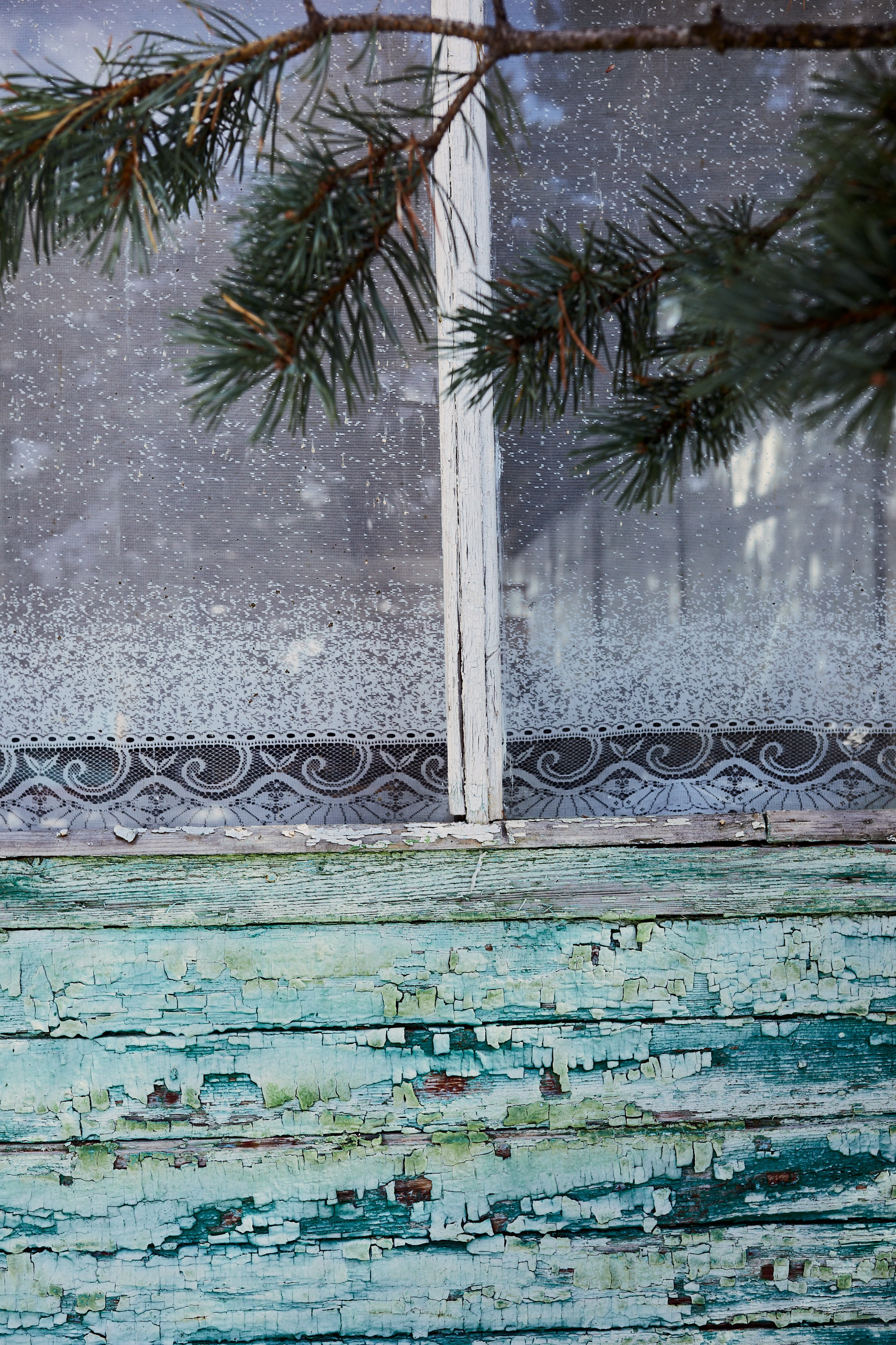 Башиль. Фотограф Продюсер в горах КБР / Москва  Нальчик Горы