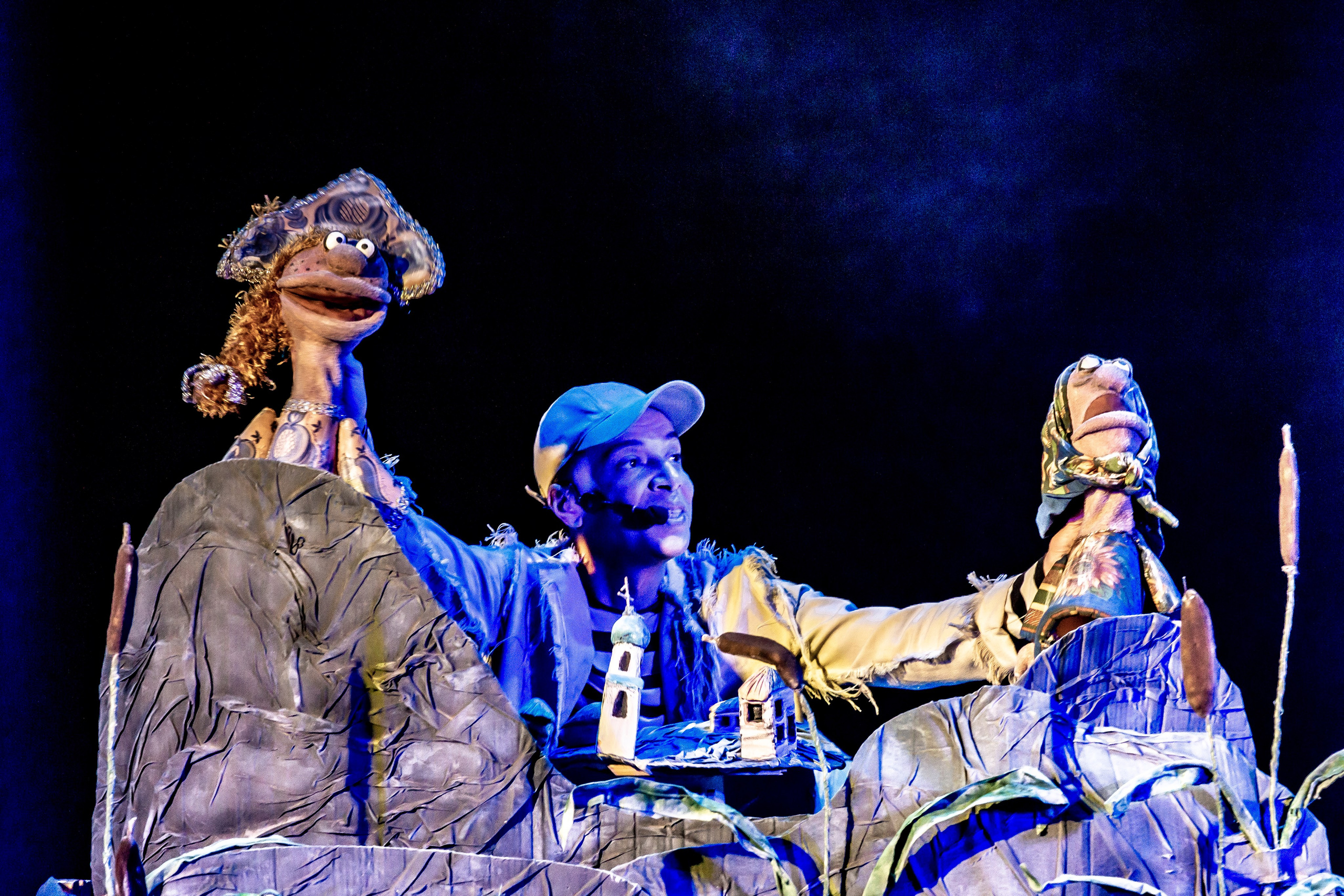 Спектакль театра Саквояж Лягушка путешествиница. Фотограф в Сочи Юрий Шептаев