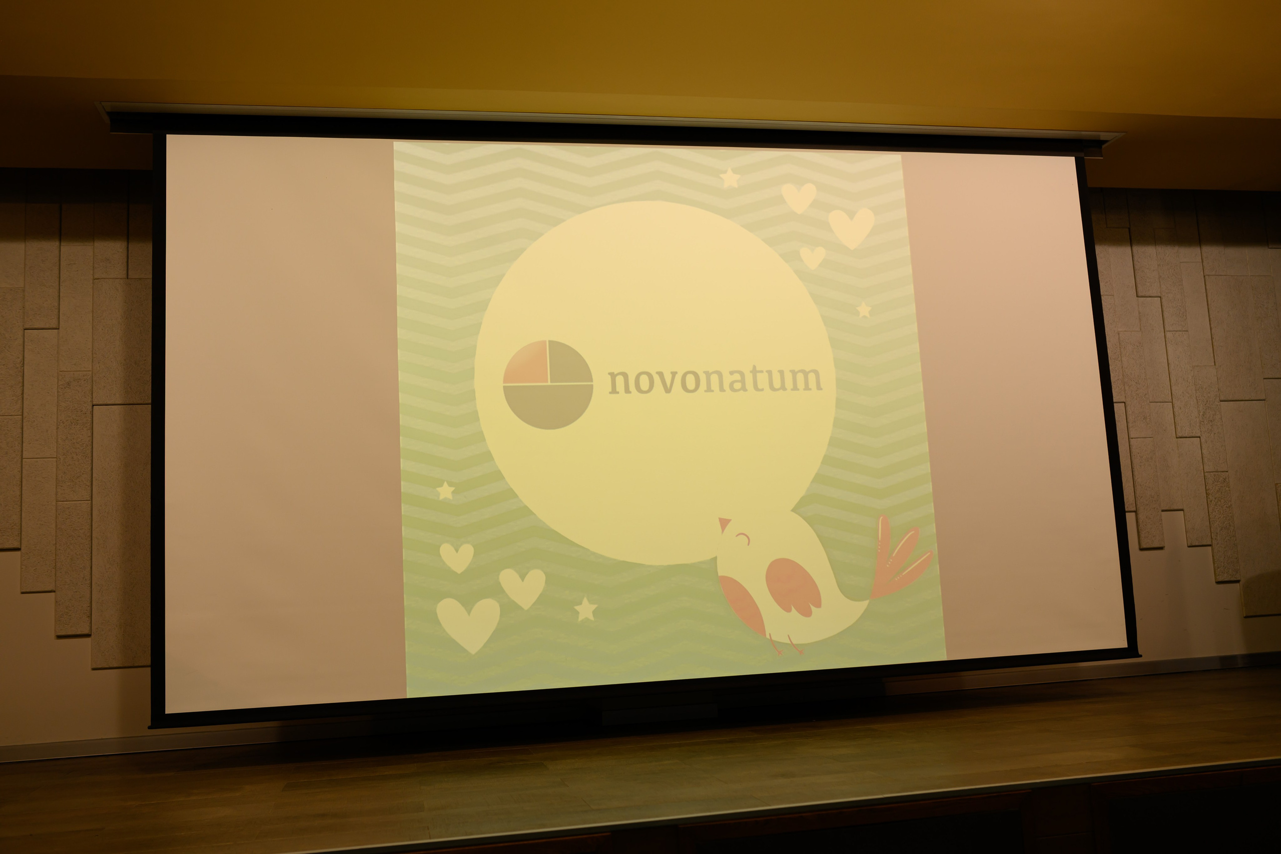 Праздник материнства ноябрь 2025. Профессиональный фотограф Елена Красилина г.Ярославль, г. Рыбинск