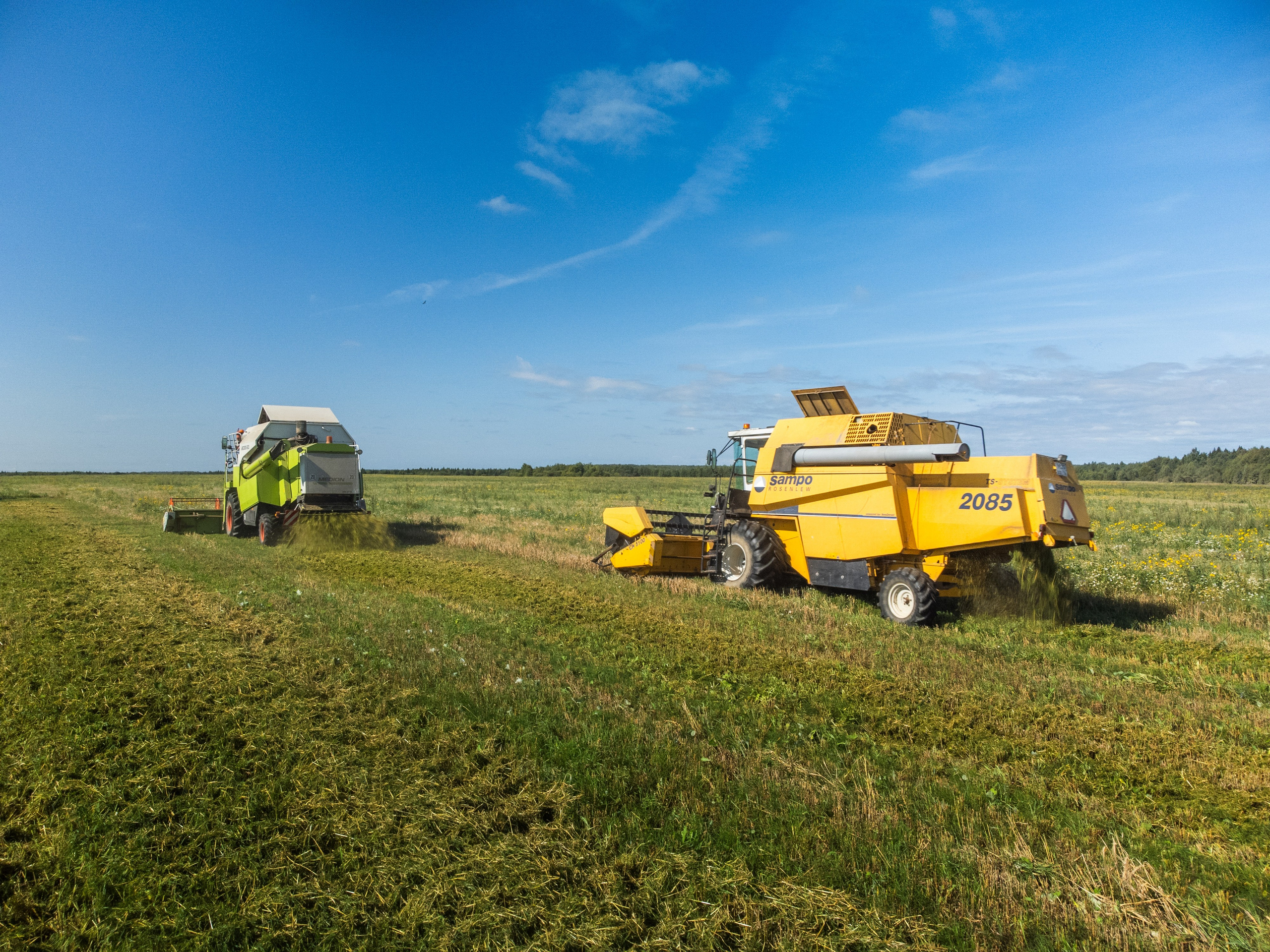 комбайны косят траву на поле, сельское хозяйство Любимского района, Ярославской области