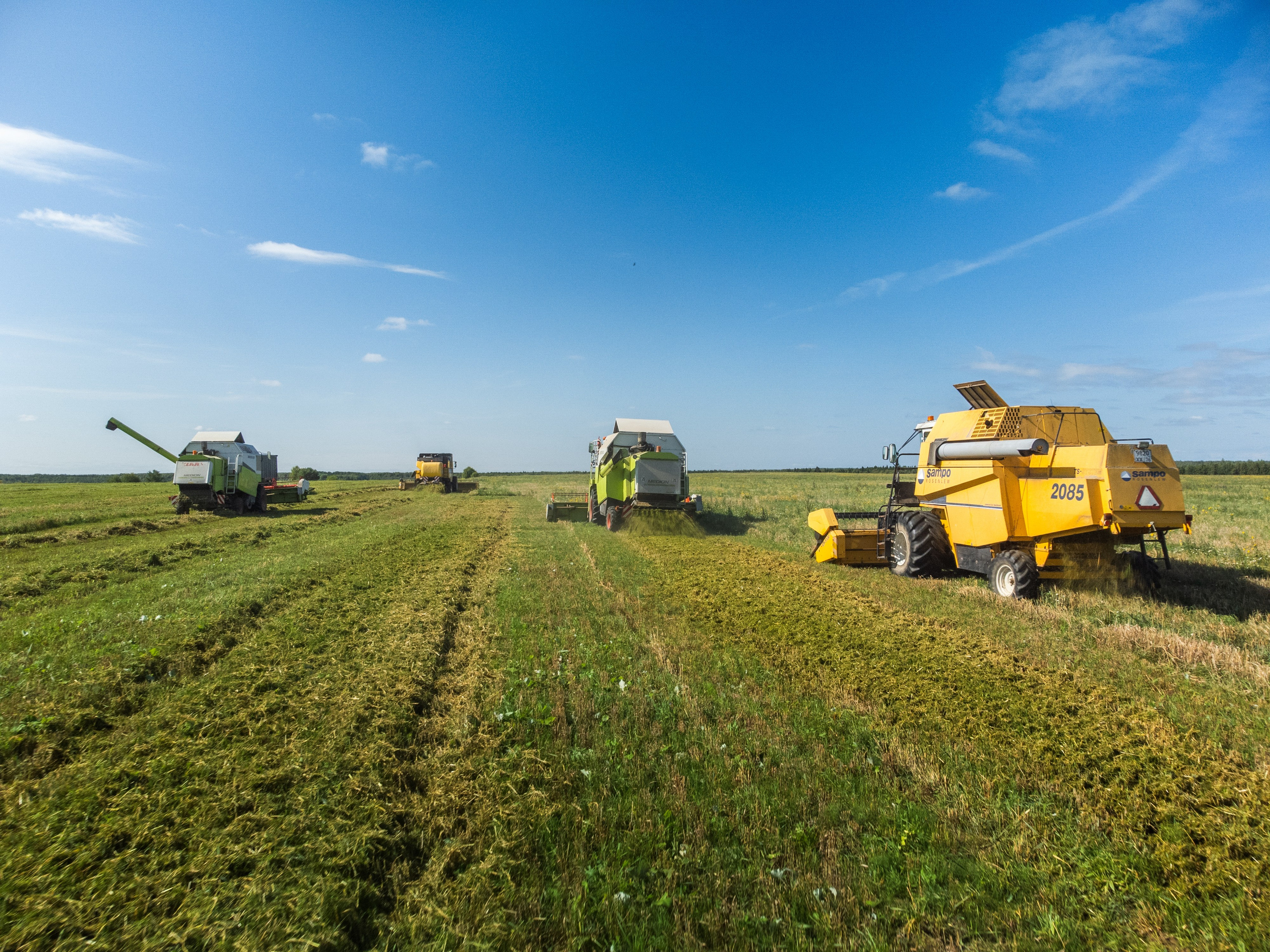 комбайны косят траву на поле, сельское хозяйство Любимского района, Ярославской области