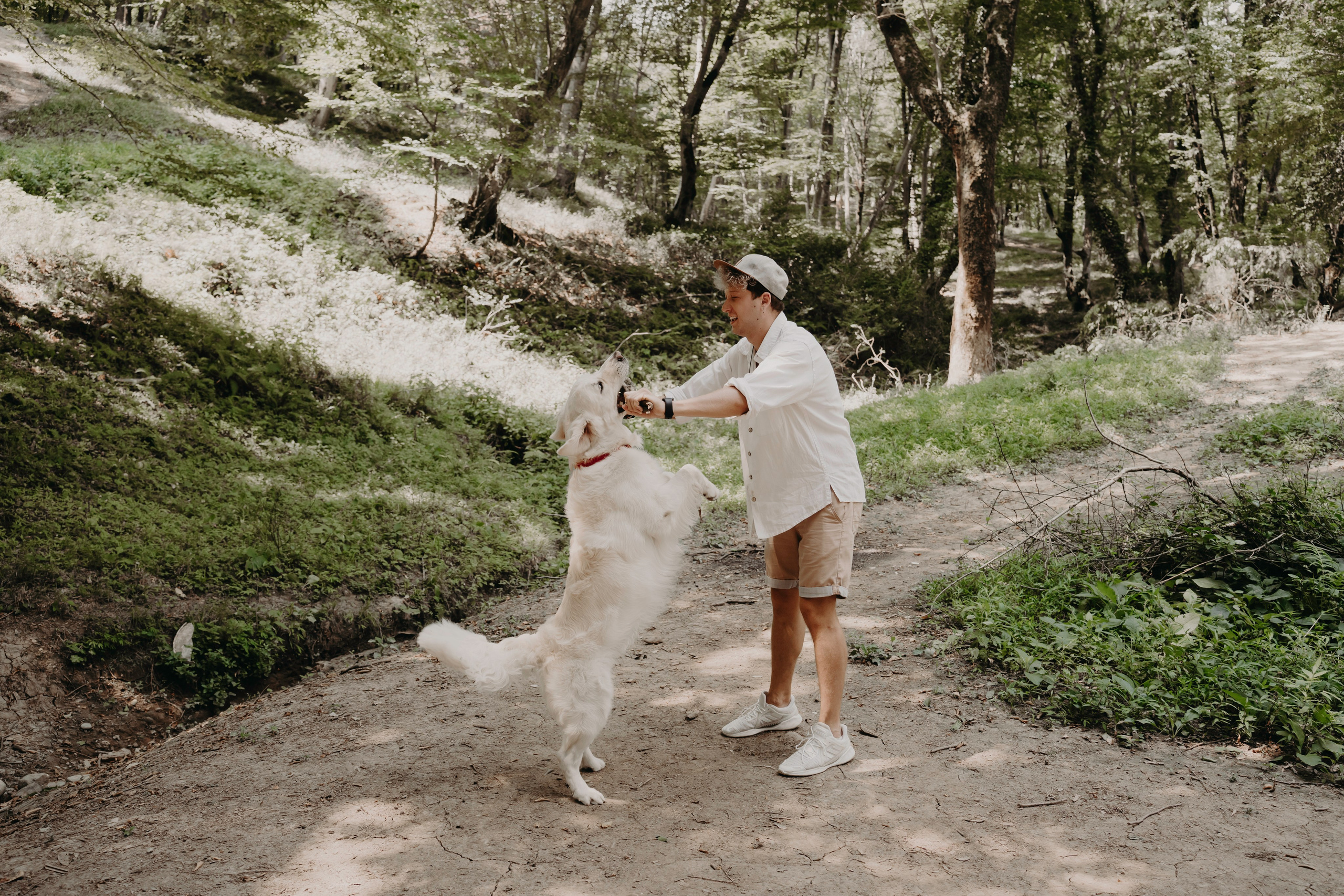 Прогулка в лесу. Фотограф Ирина Ликсунова