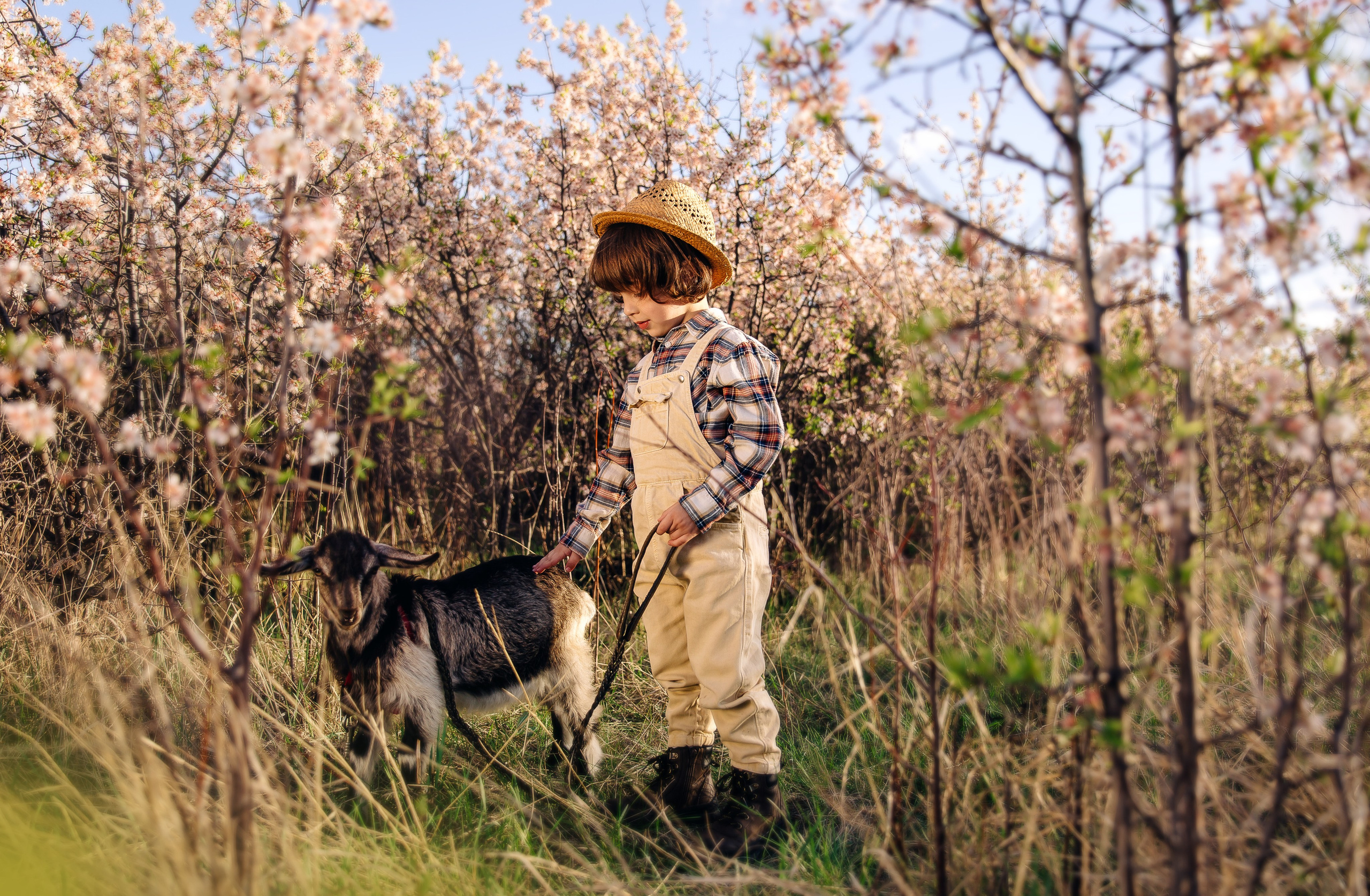 Детская фотография. Фотограф в Челябинске Жукова Милана