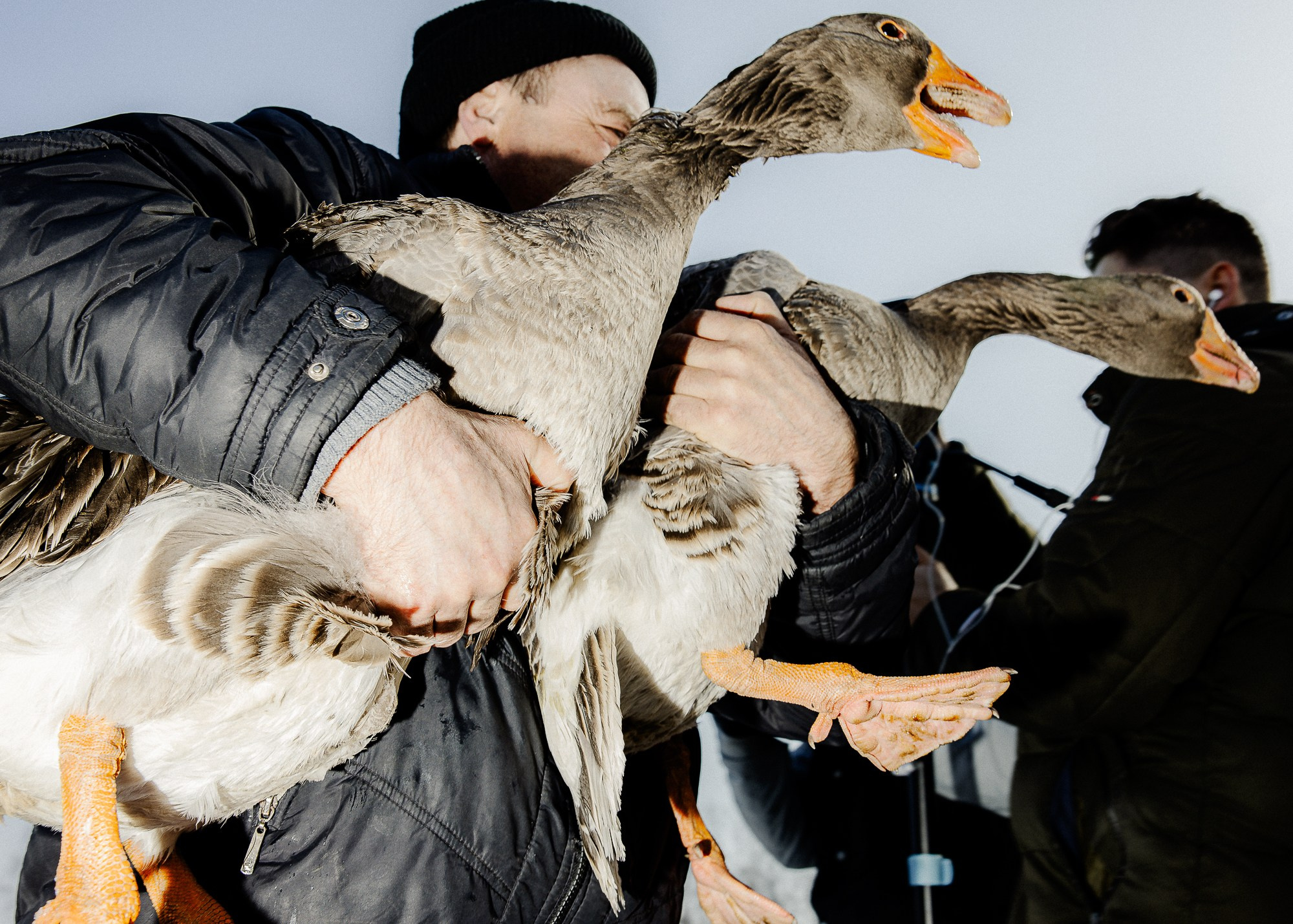 Масленица в Суздале