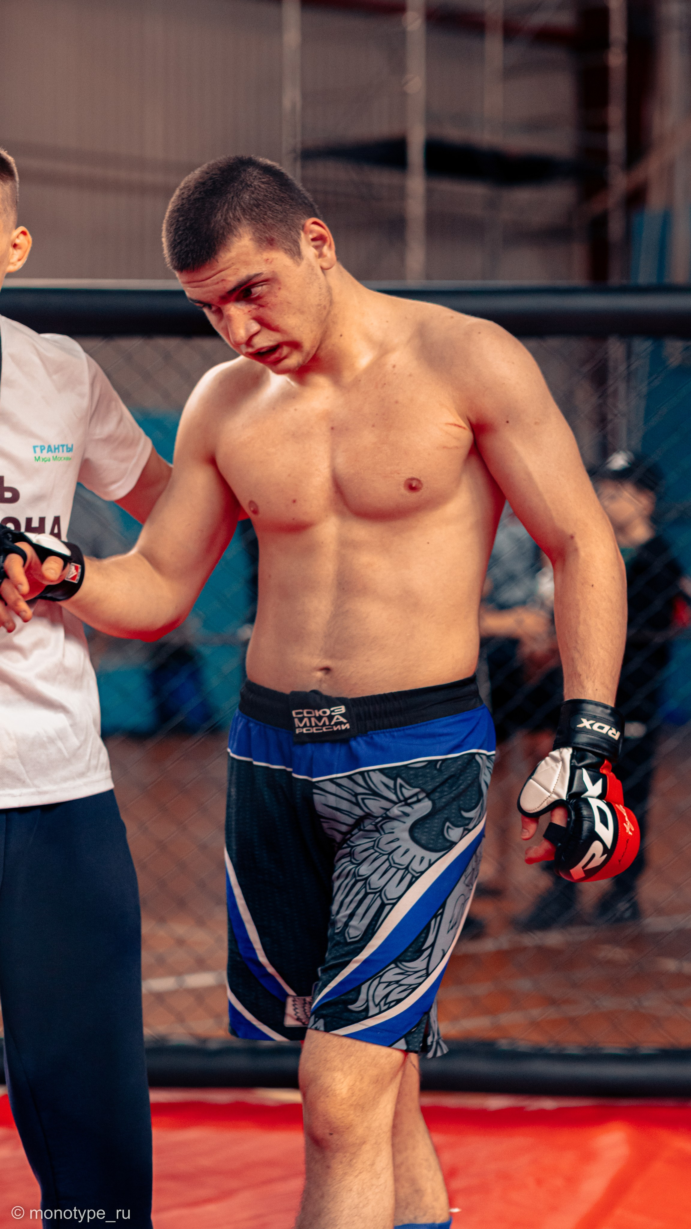 MMA. Бойцовский турнир