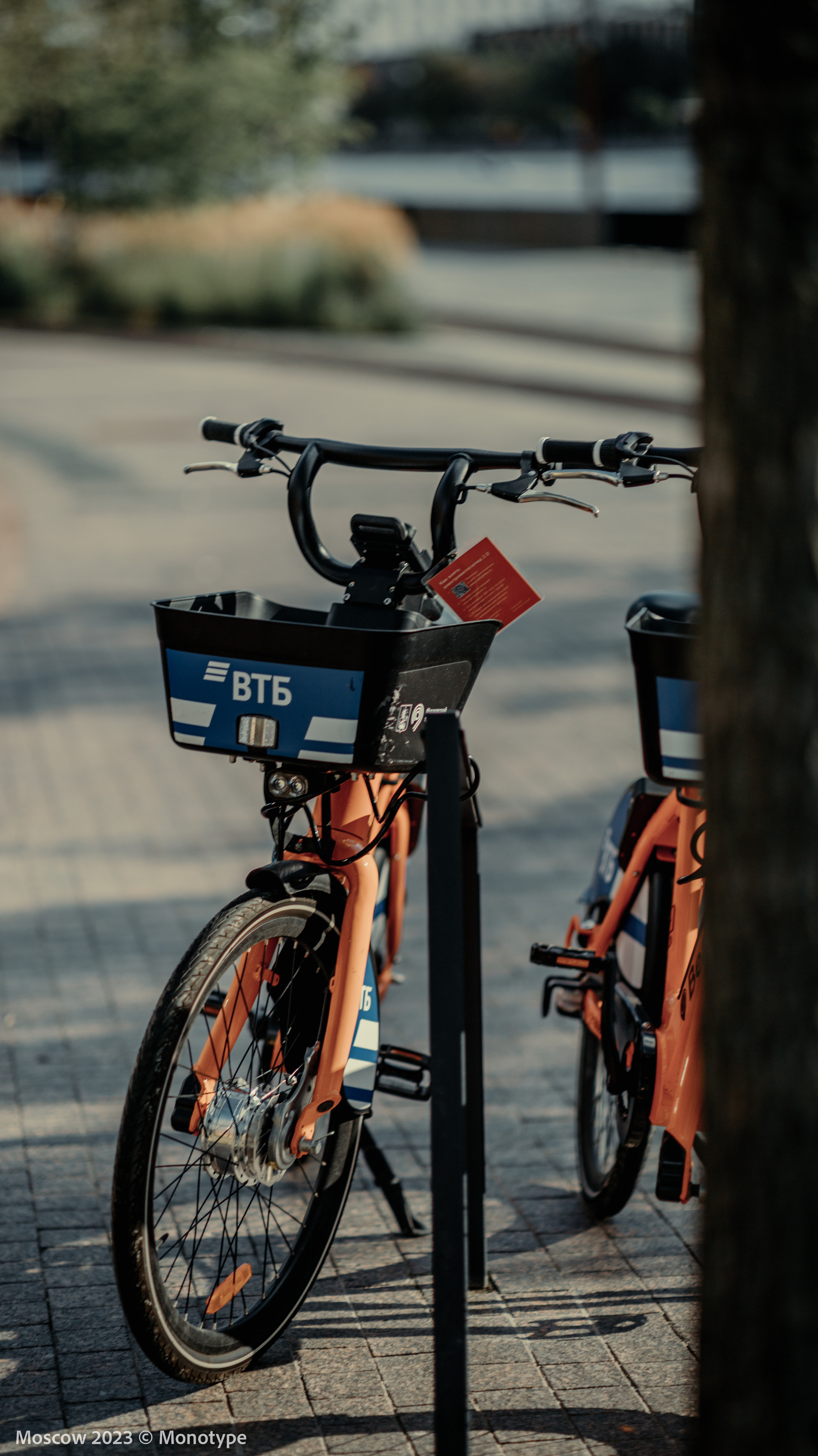 ZILART / ЗИЛАРТ