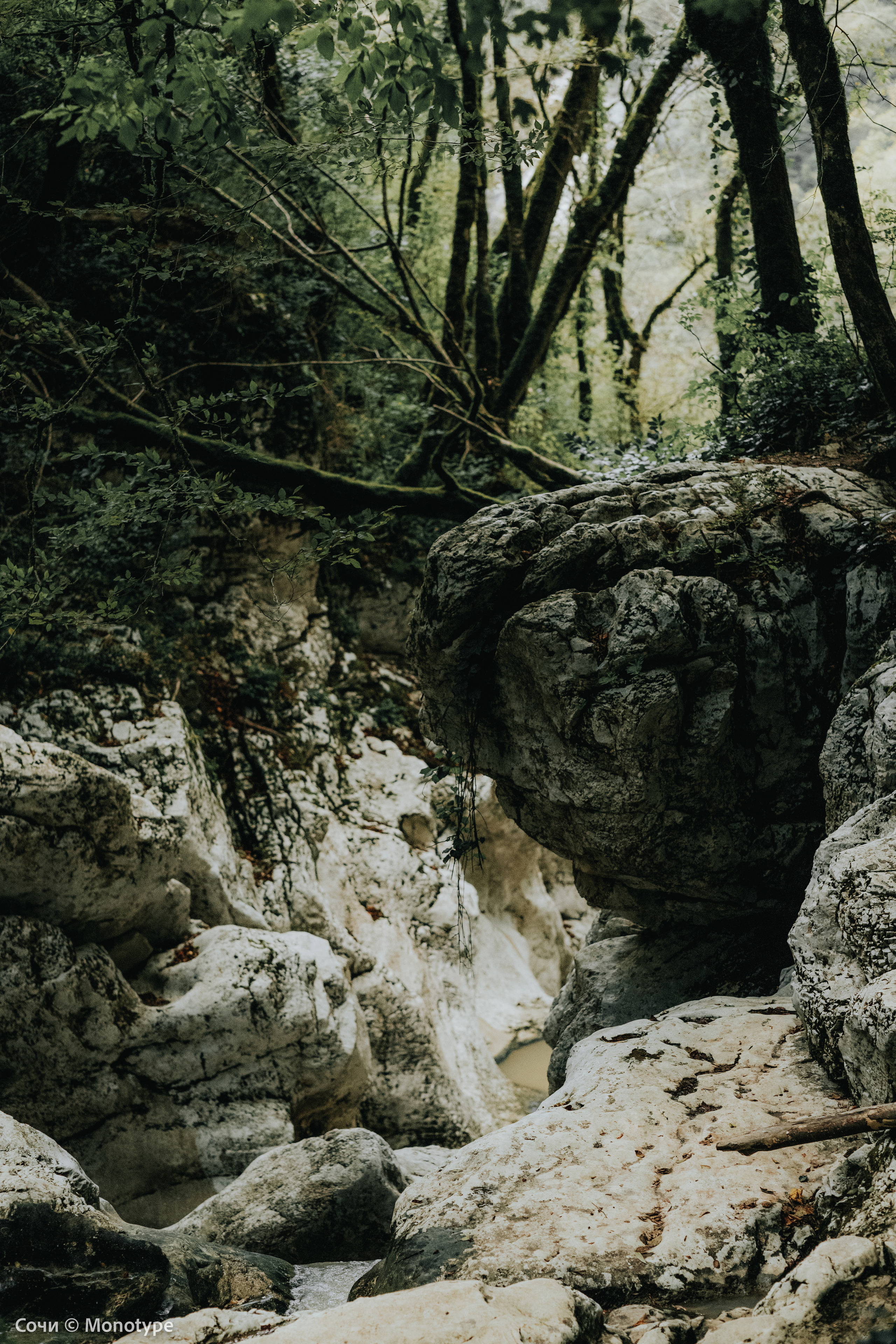 RIVER AGURA / РЕКА АГУРА