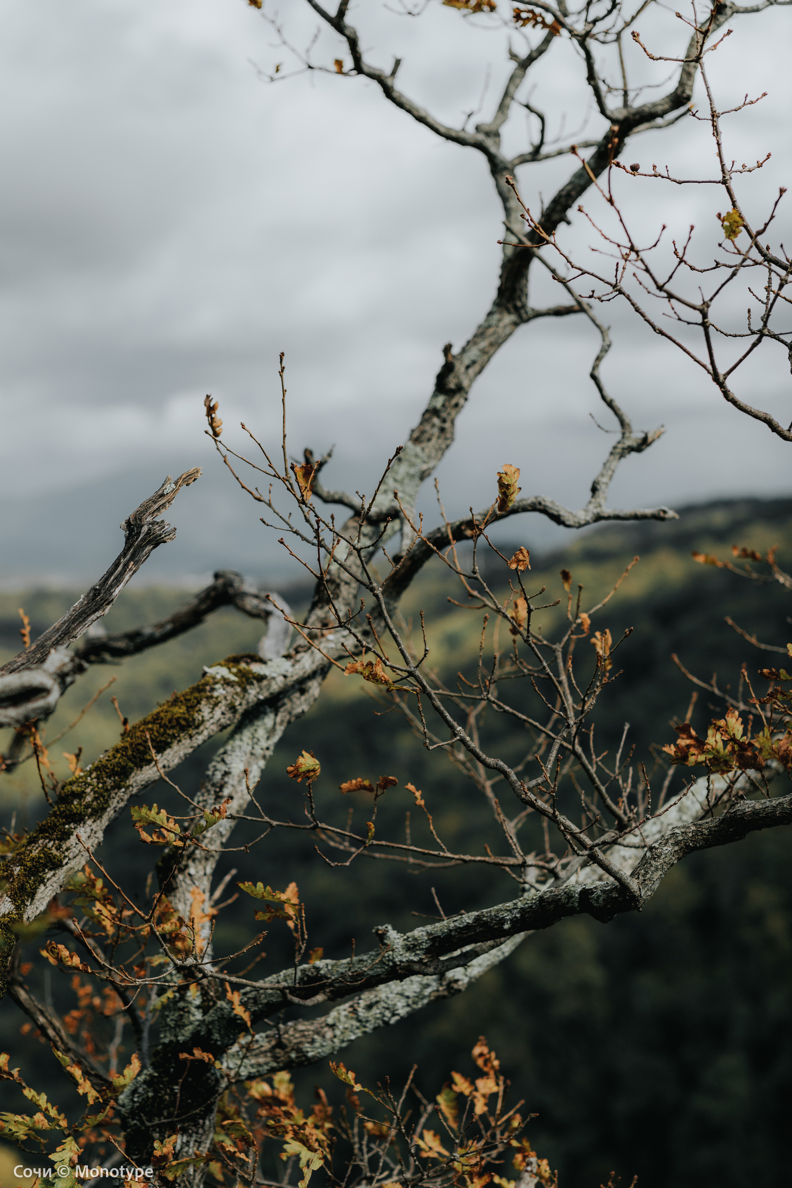 RIVER AGURA / РЕКА АГУРА