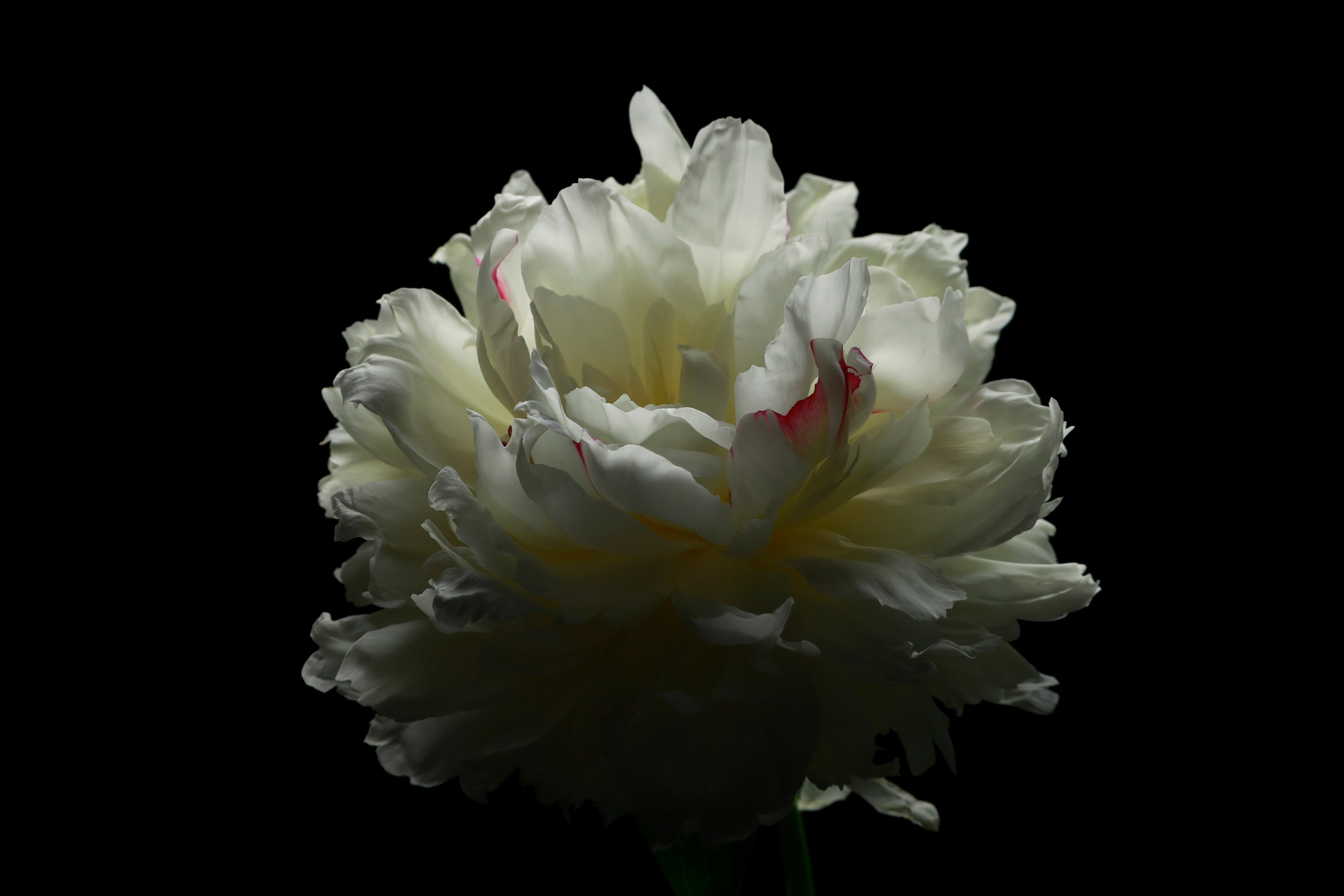 Предметная съемка. Фотограф Светлана Заплатина