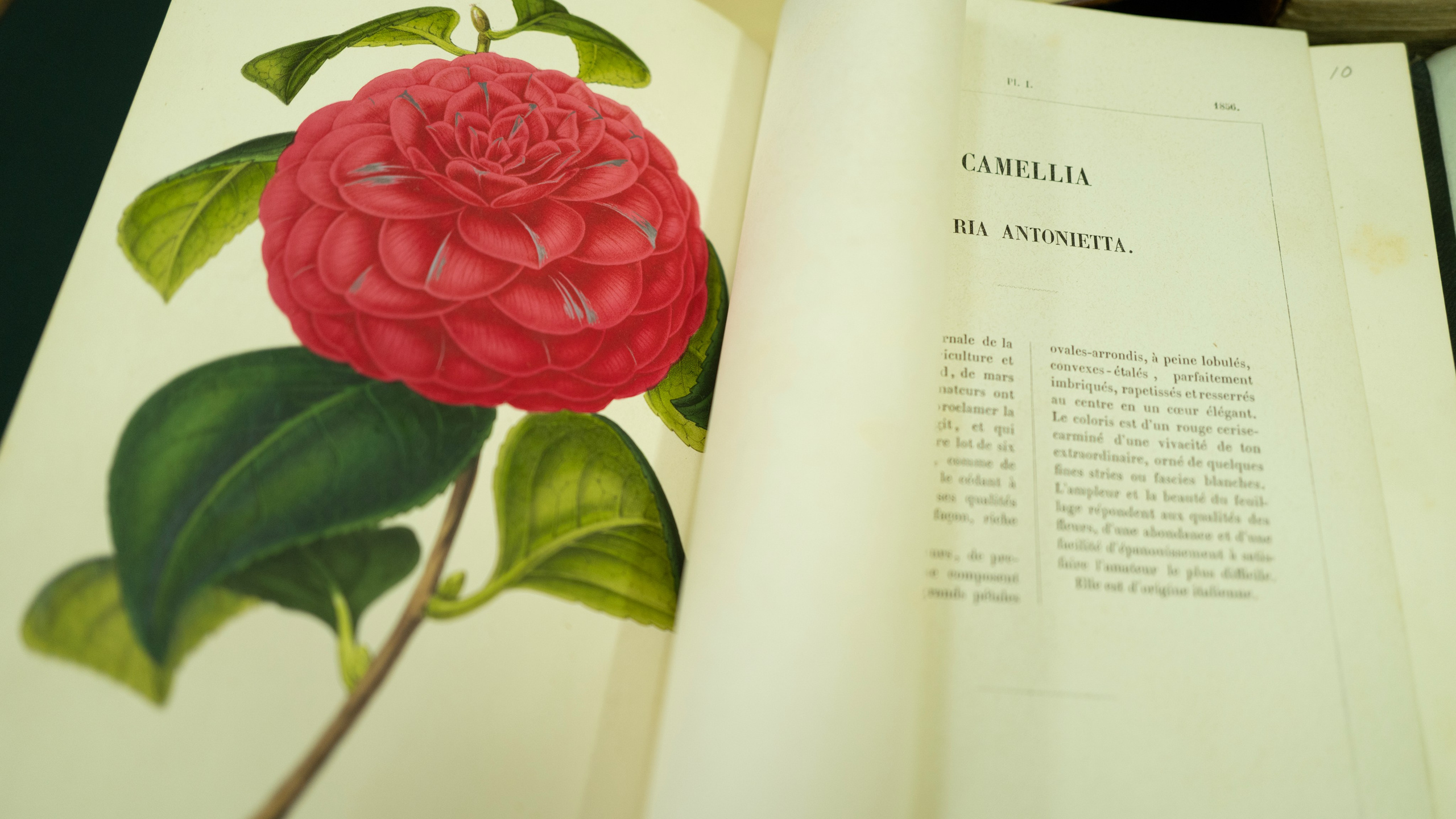 редкие книги, библиомания, книголюб, библиотека, Астрахань, научная библиотека, историческая книга, печатная книга, иллюстрация, библиотека имени Крупской, образование, чтение, старинная книга, необычная книга