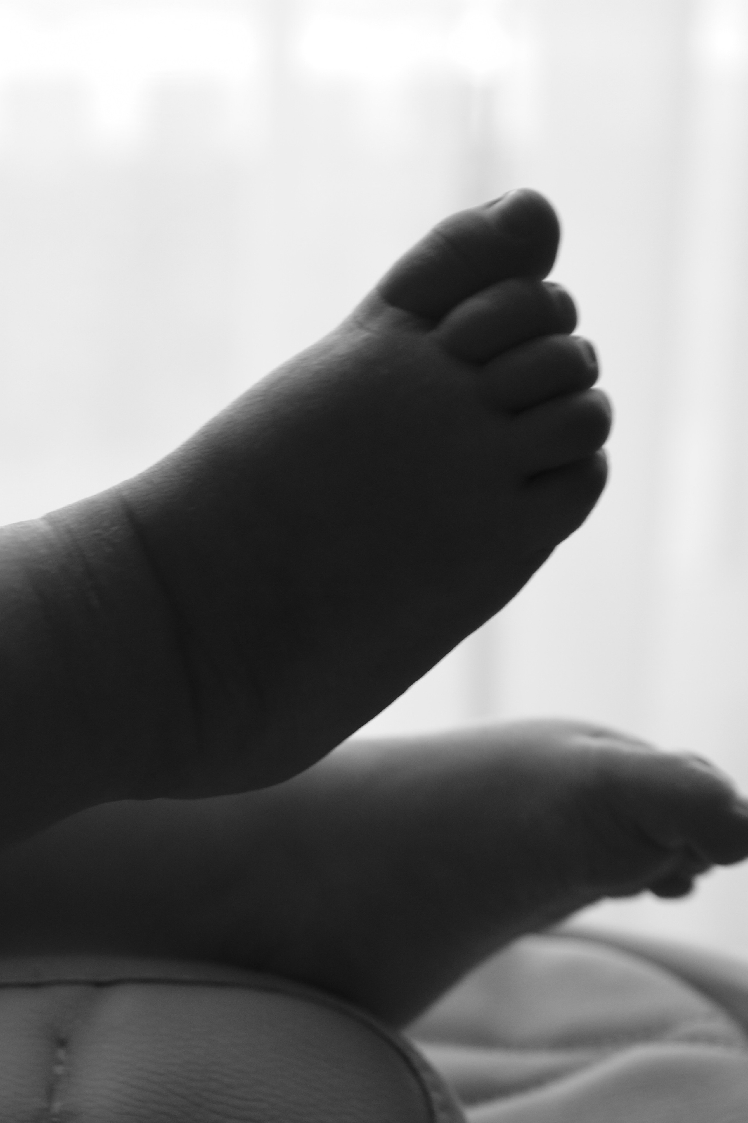 Портфолио. Фотограф Елена Попова в Барнауле