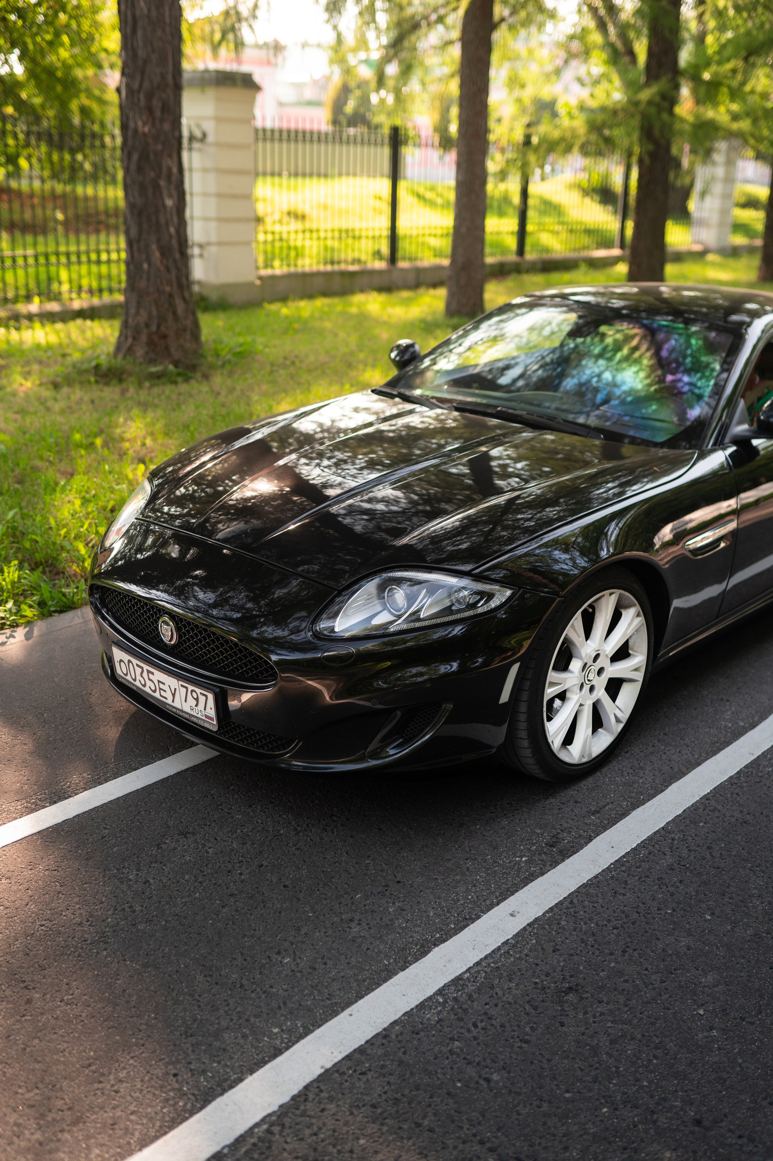 Jaguar Xk