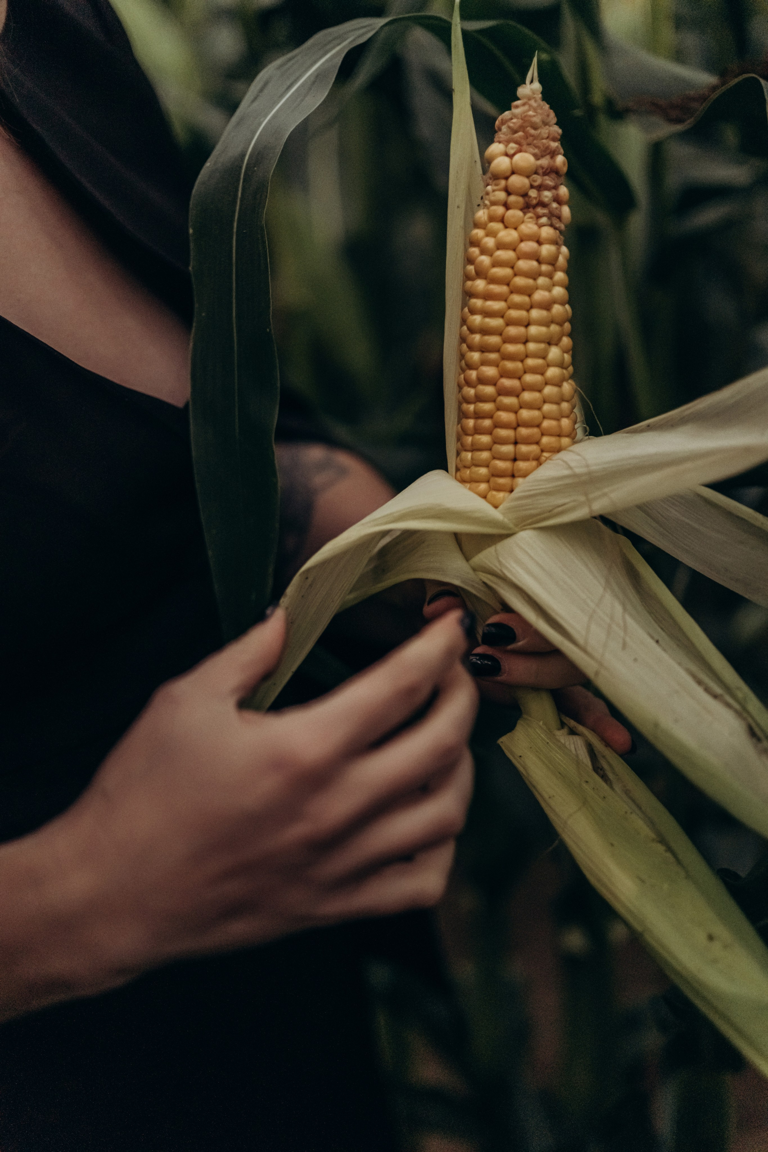Бунтарка в поле. Фотограф в Тарусе Серпухове Москве Рина Дукежанова