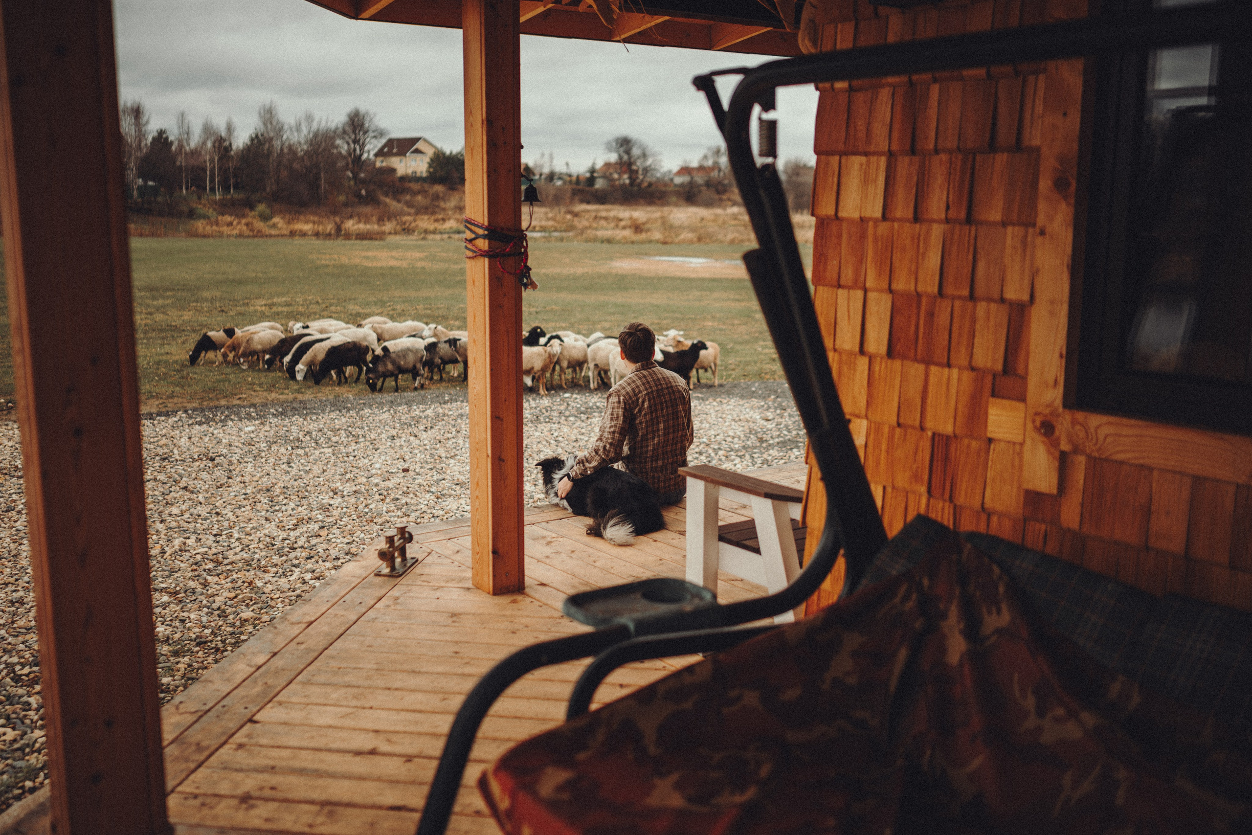 Настя и Рэги на ферме. Семейный фотограф анималист Ананьева Мария — Москва