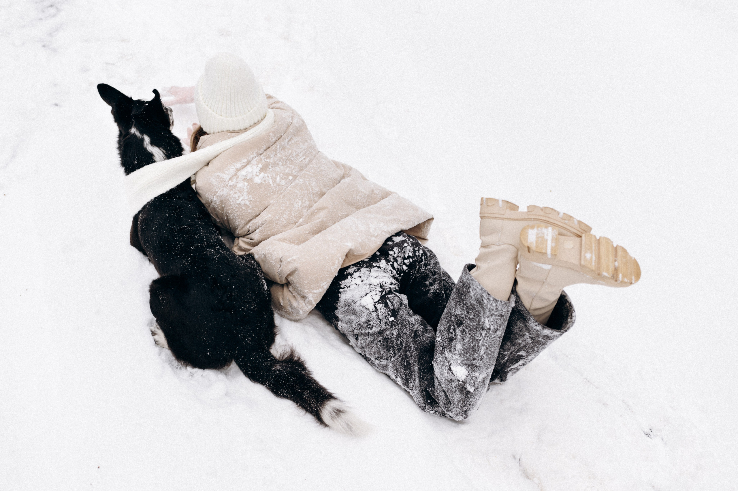 Аня и Милан. Фотограф анималист в Москве Ольга Агушева