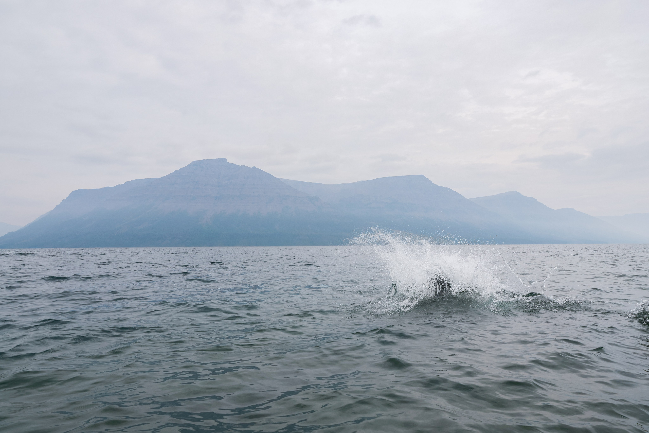 Фестиваль по фридайвингу «Глубина Путорана». Спортивный репортажный фотограф Казань Нафис Сиразетдинов